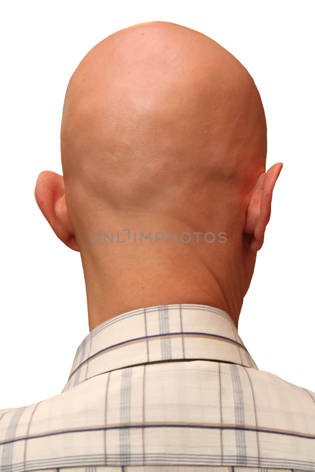 The man dressed in a checkered shirt bald revolved to the chamber a nape