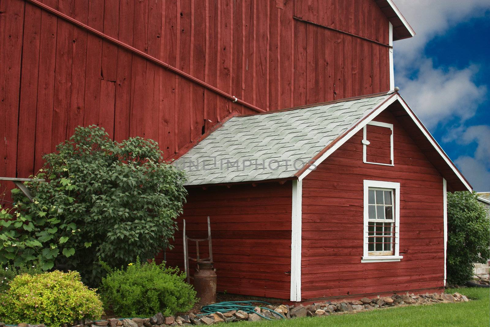 vintage red barn and milk house with rocks and bushes for landscaping