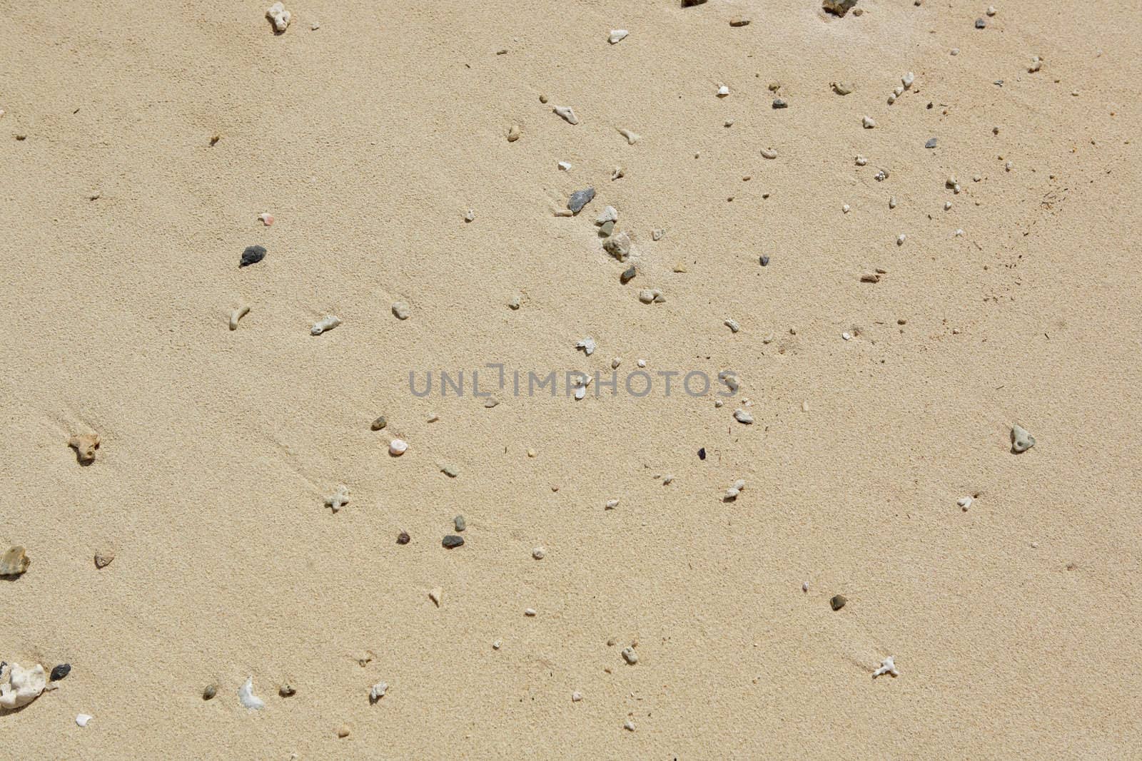 sand in beach