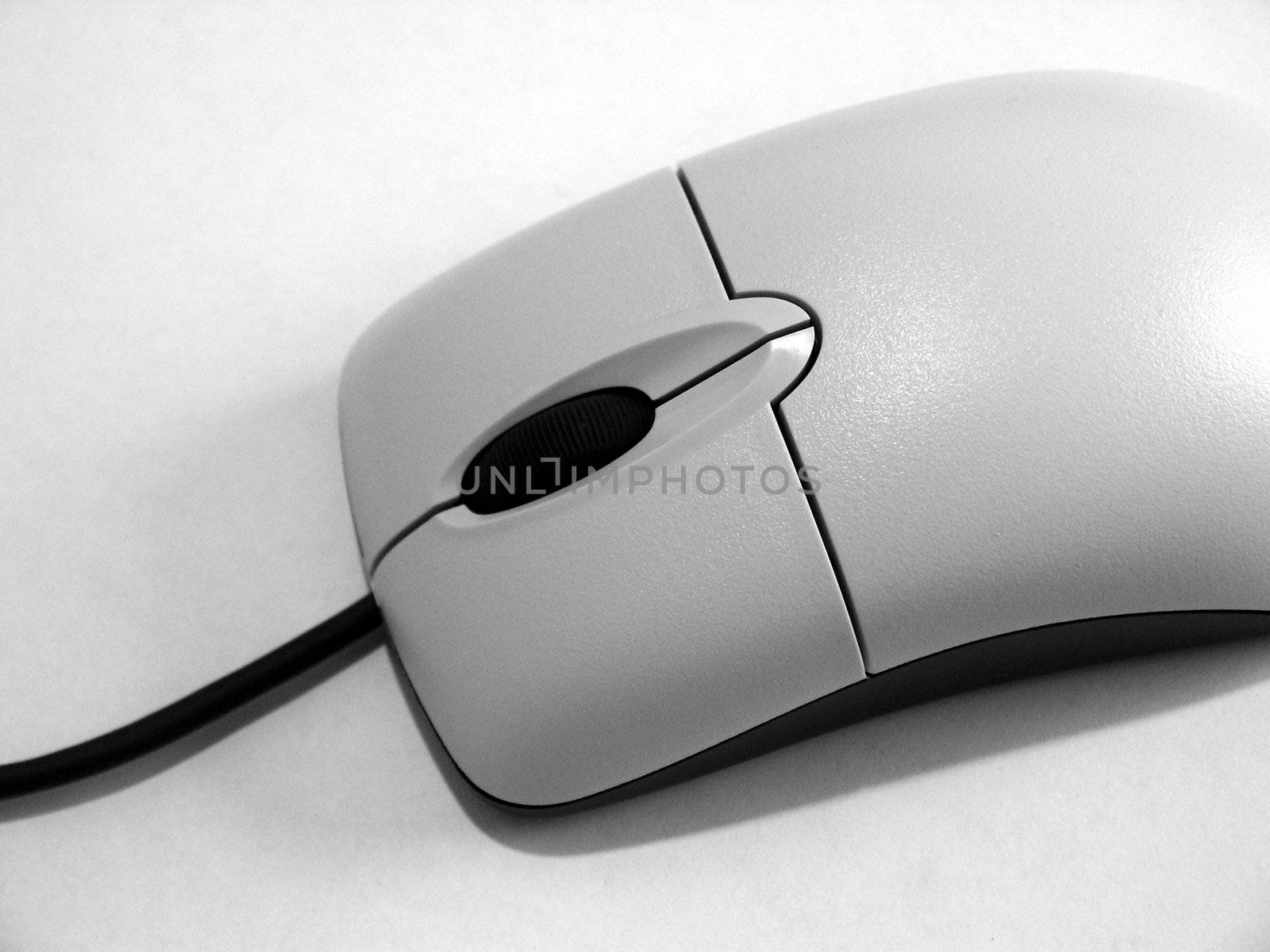 A nice clean shot of a computer mouse.