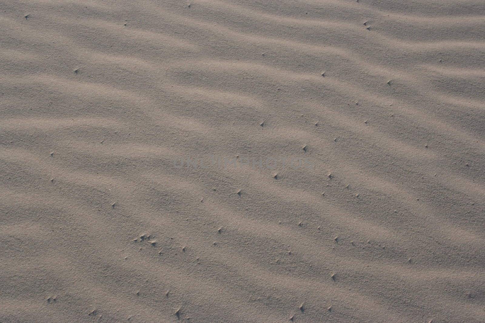 Some winded sand on the beach.  The ripples make nice little sand dunes.  The sand is very dry and soft.  This shot makes a great background pattern.