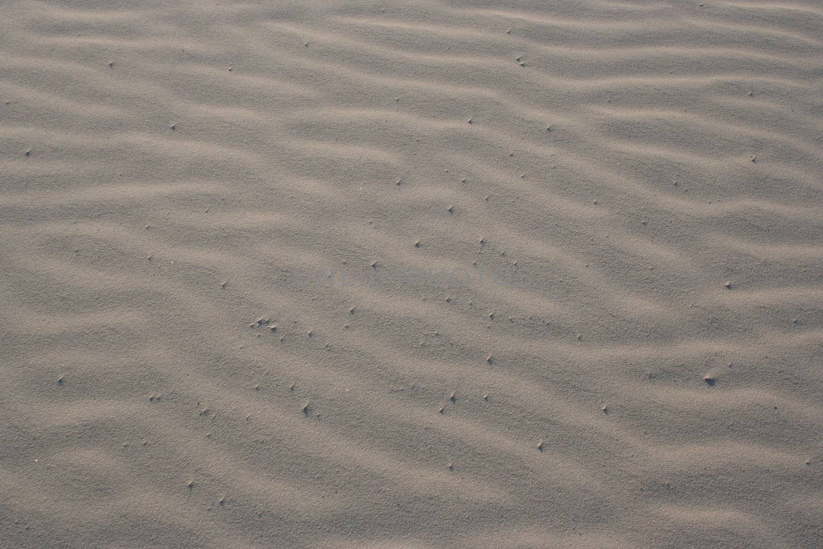 Some winded sand on the beach.  The ripples make nice little sand dunes.  The sand is very dry and soft.  This shot makes a great background pattern.