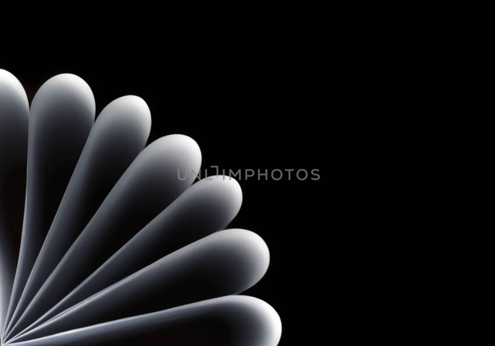 abstract flower background by Gjermund
