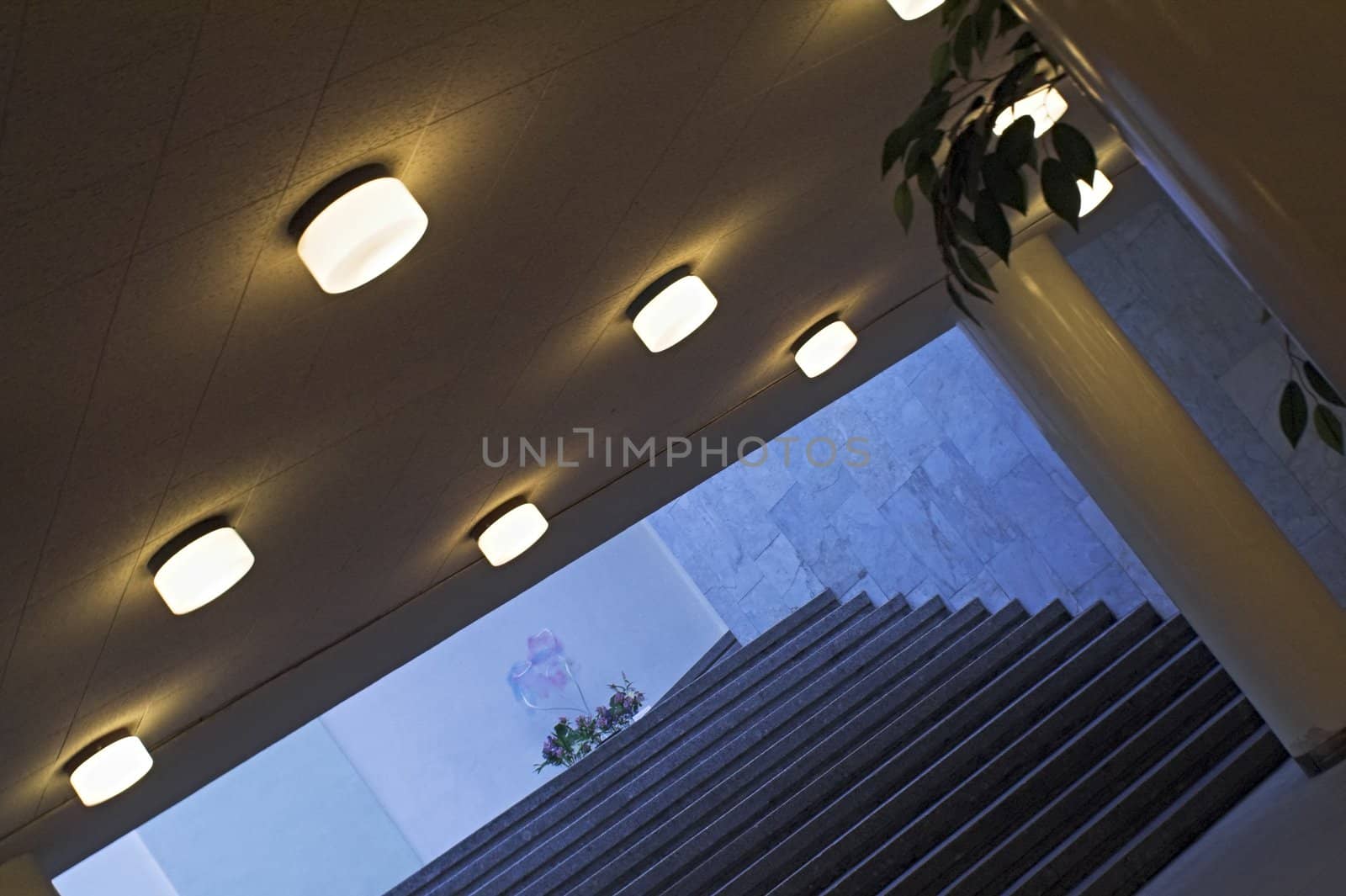A staircase to a building's ground floor with lights on, a column, and a flower-bed in the natural light backgorund.