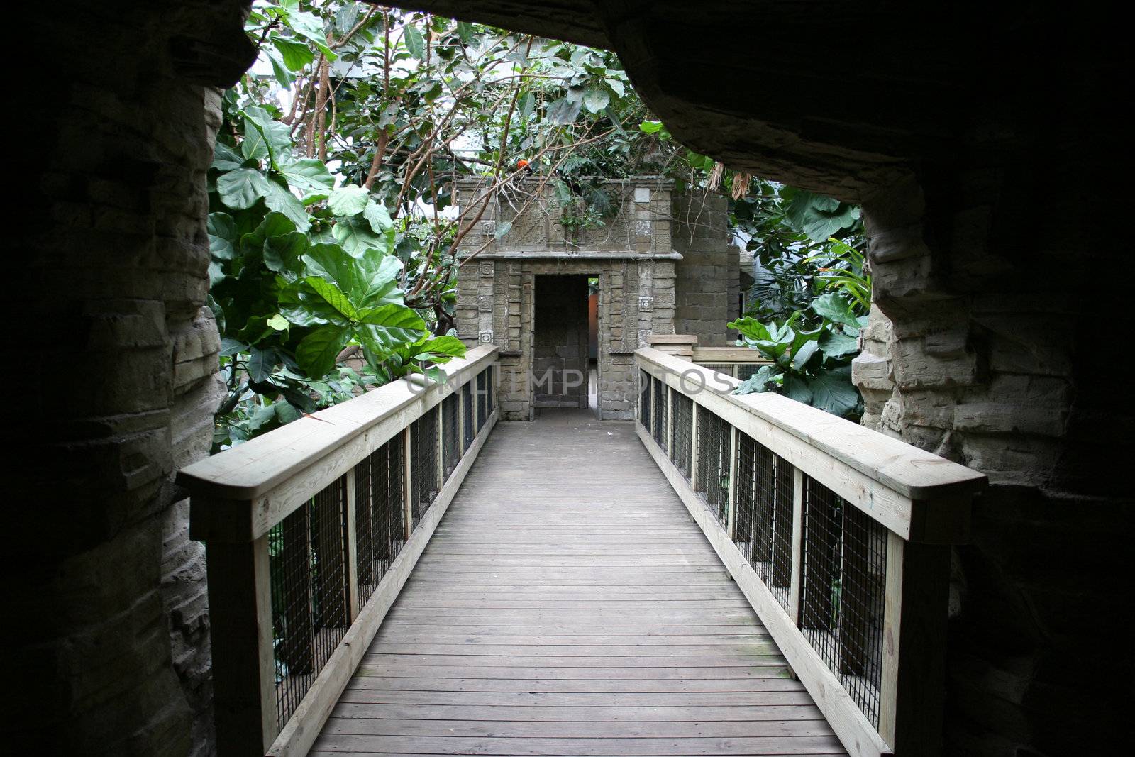 A bridge in a zoo that brings you through an attraction.
