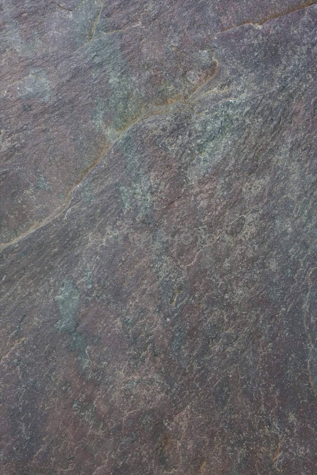 flat, gray, fine-grained, foliated slate rock with purple tint and green spots and veins