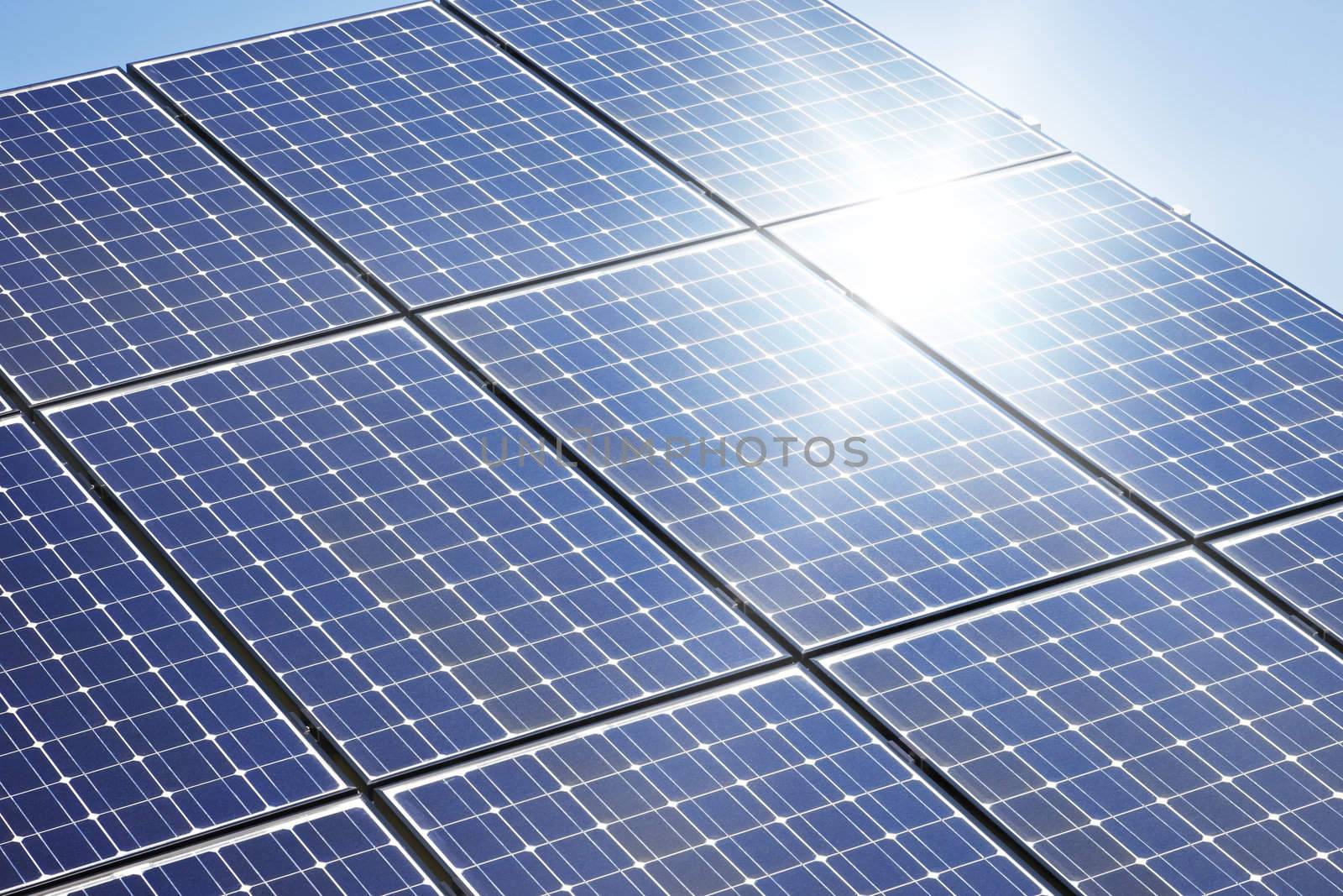 solar plant by magann