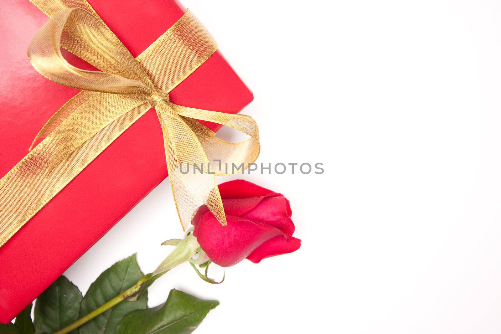 Gift with Gold Ribbon and Rose Isolated on a White Background.