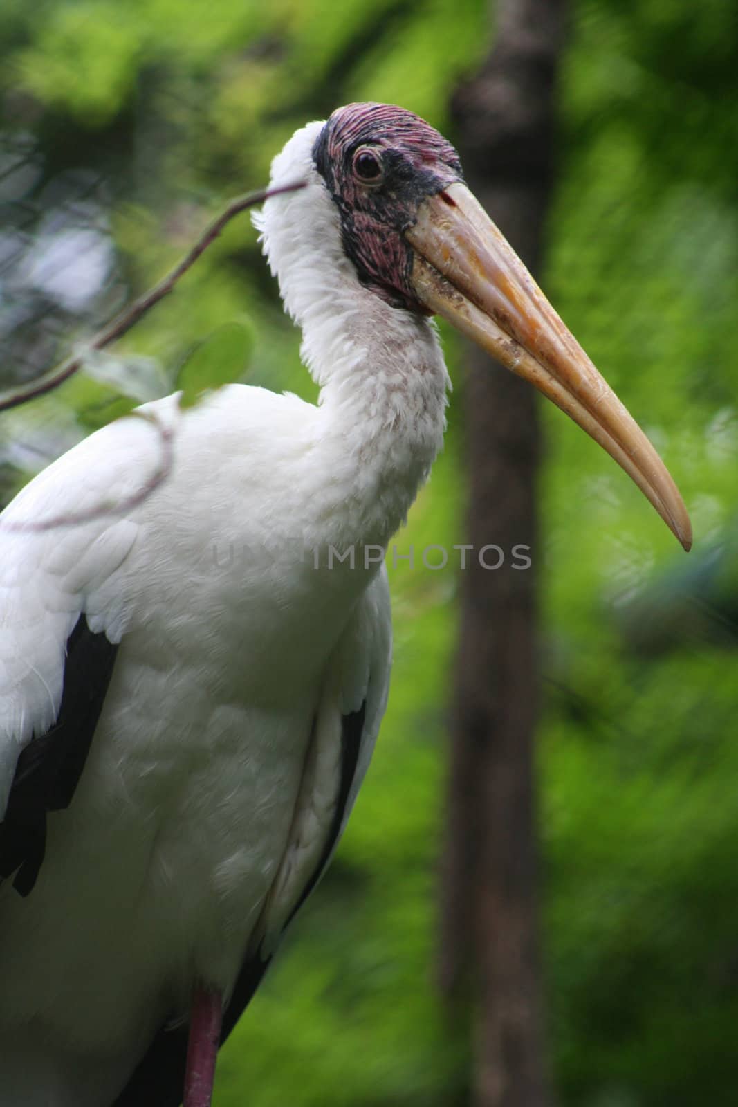 Thailand by mariusz_prusaczyk