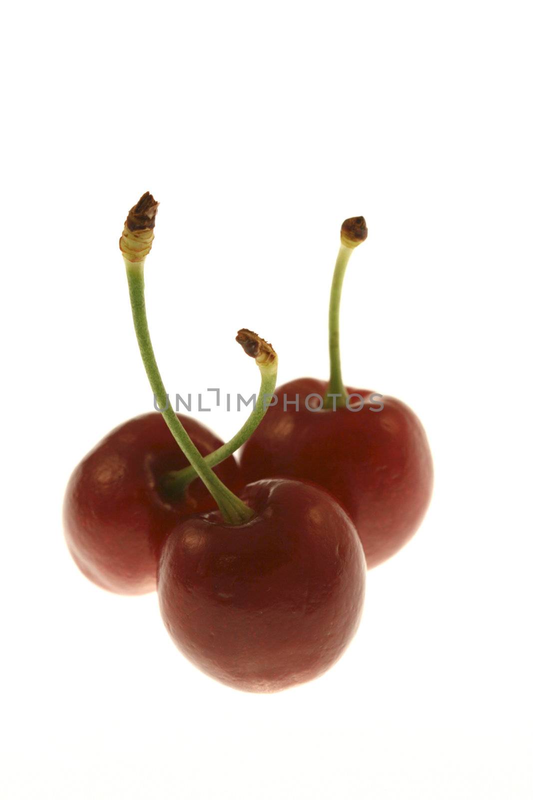 Three cherries isolated on a white background