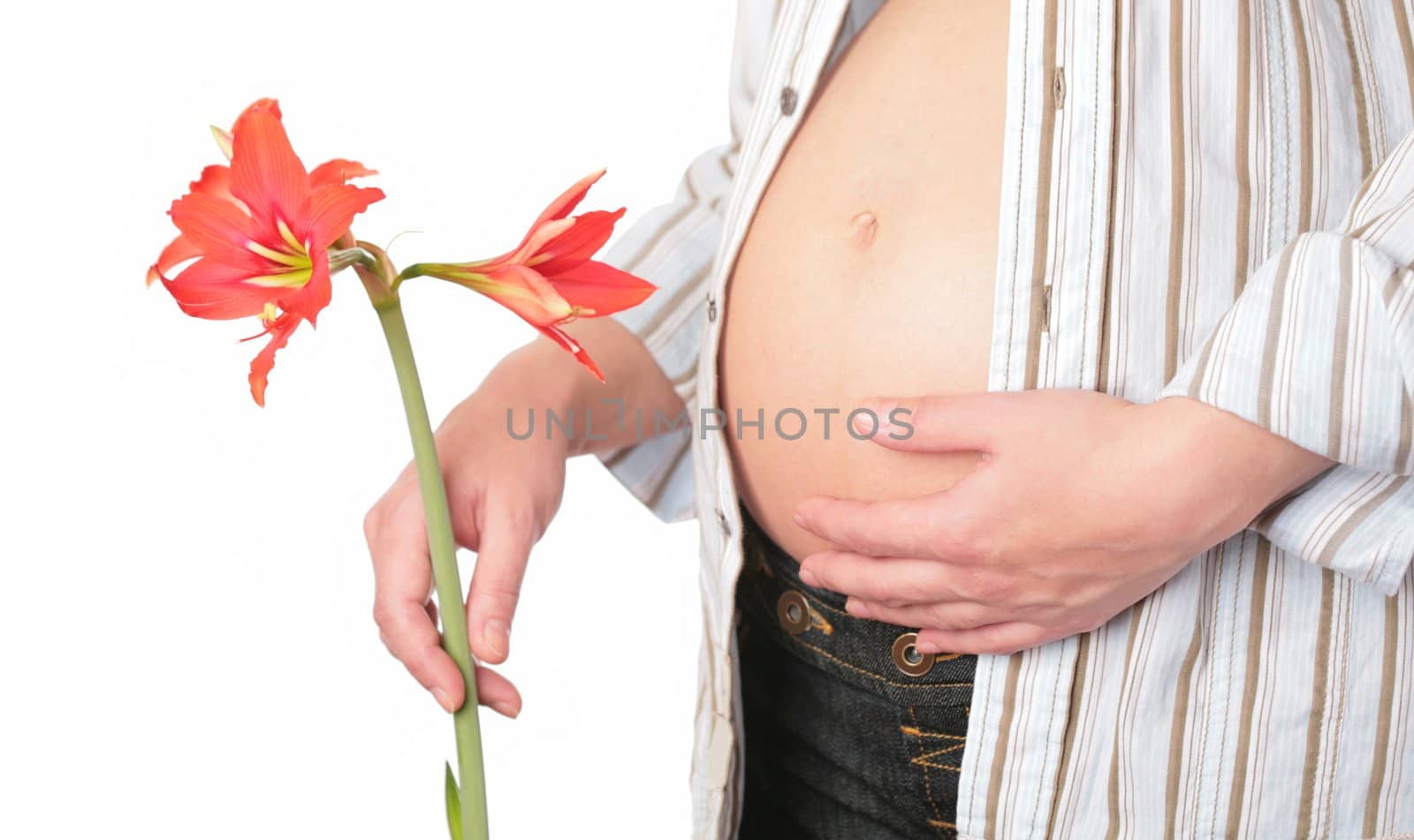 expectant mother in striped shirt and with red lily on white background