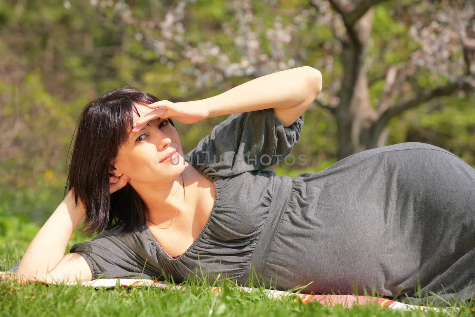 horizontal portrait of the pregnant woman lying on herb in blossom garden