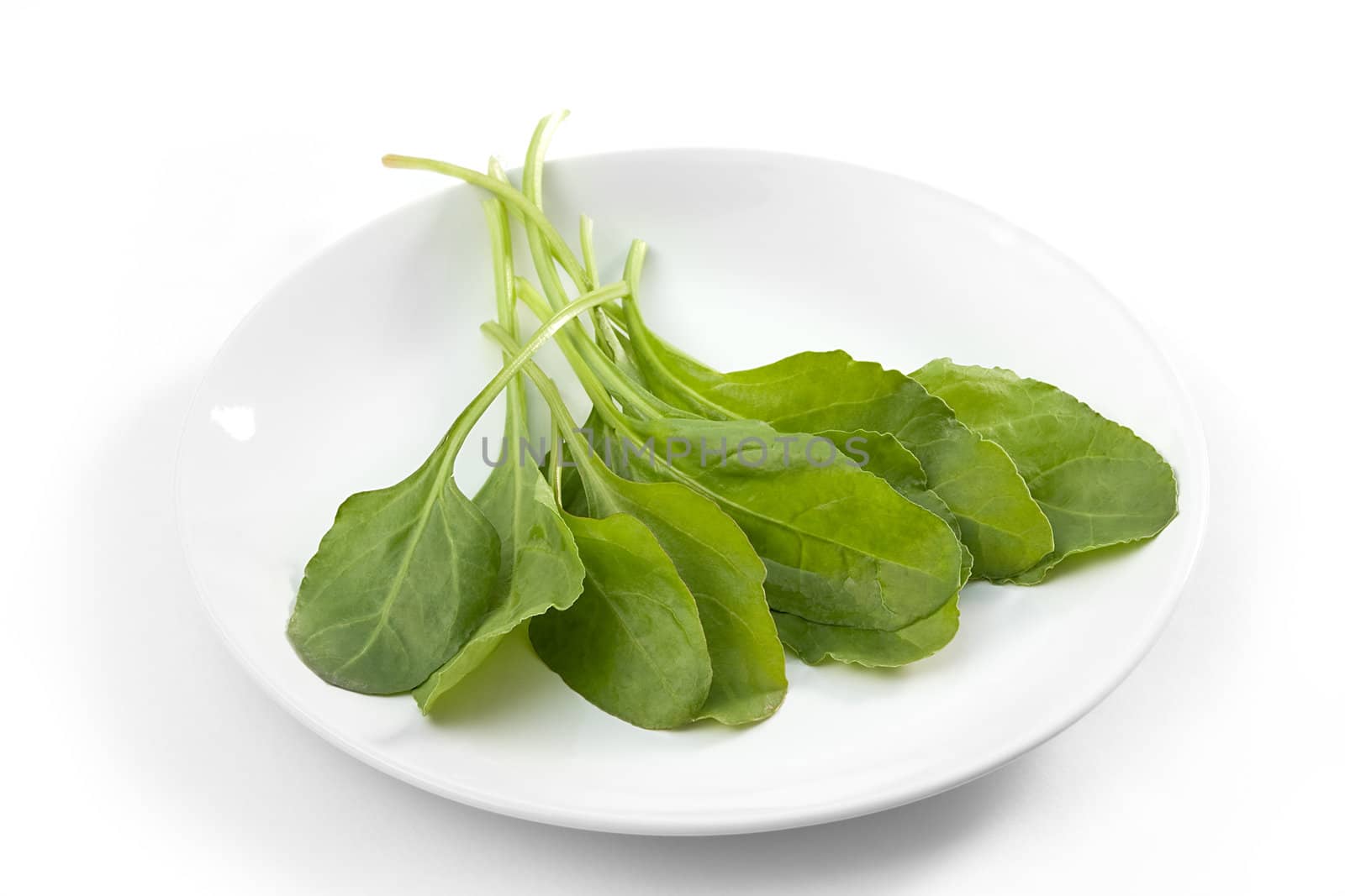 Fresh clean spinach on the white plate 