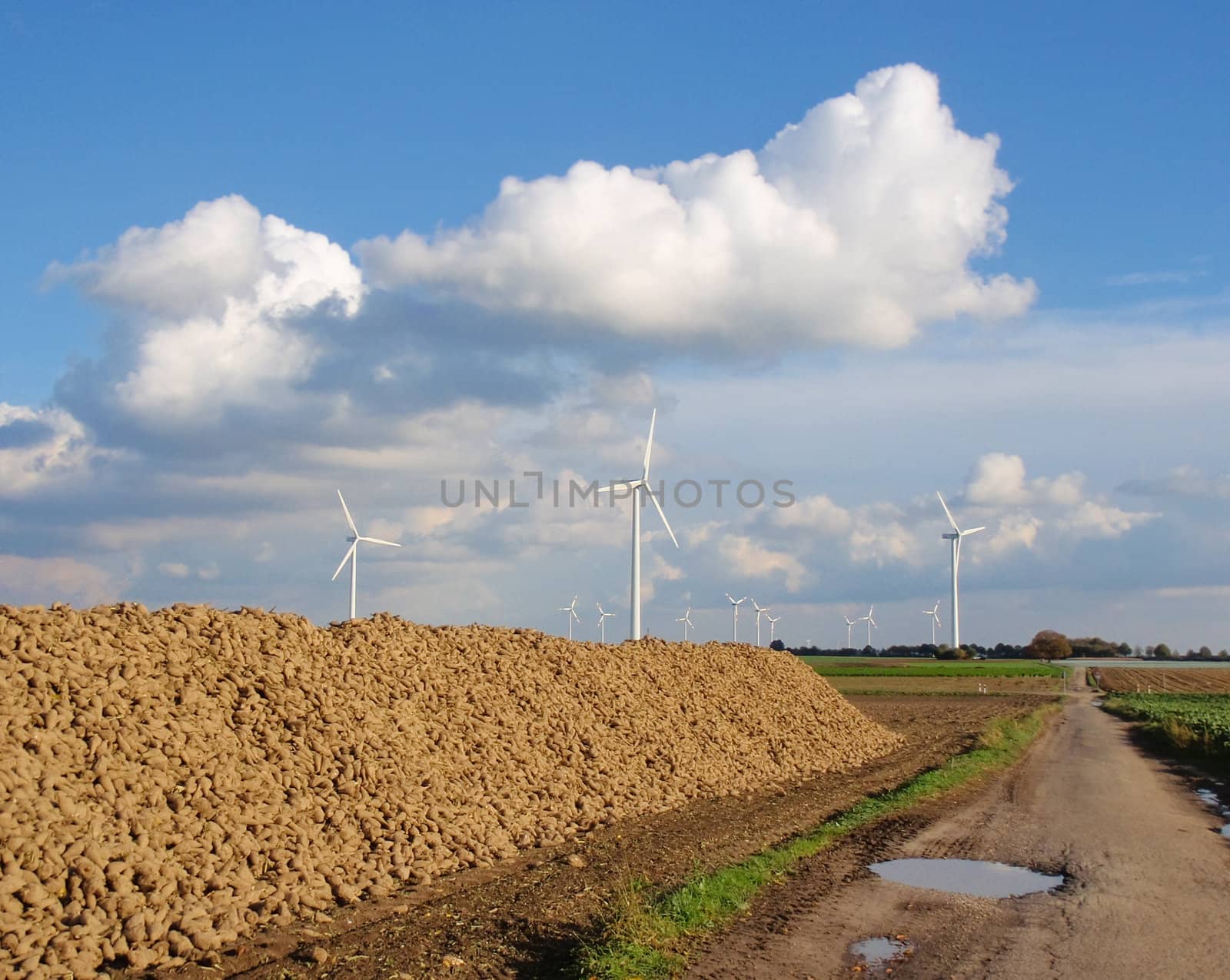 windmill park with stack of sugar beet by karinclaus