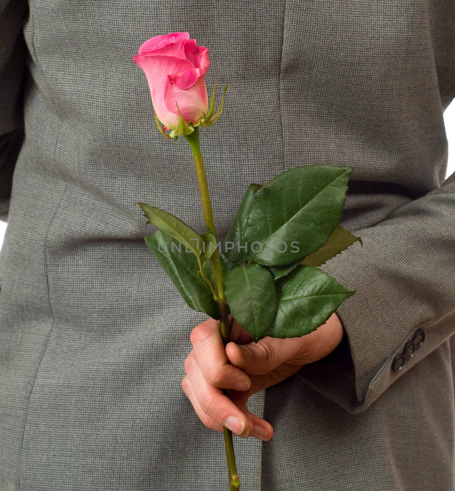 Closeup view of a man holding a single rose behind his back