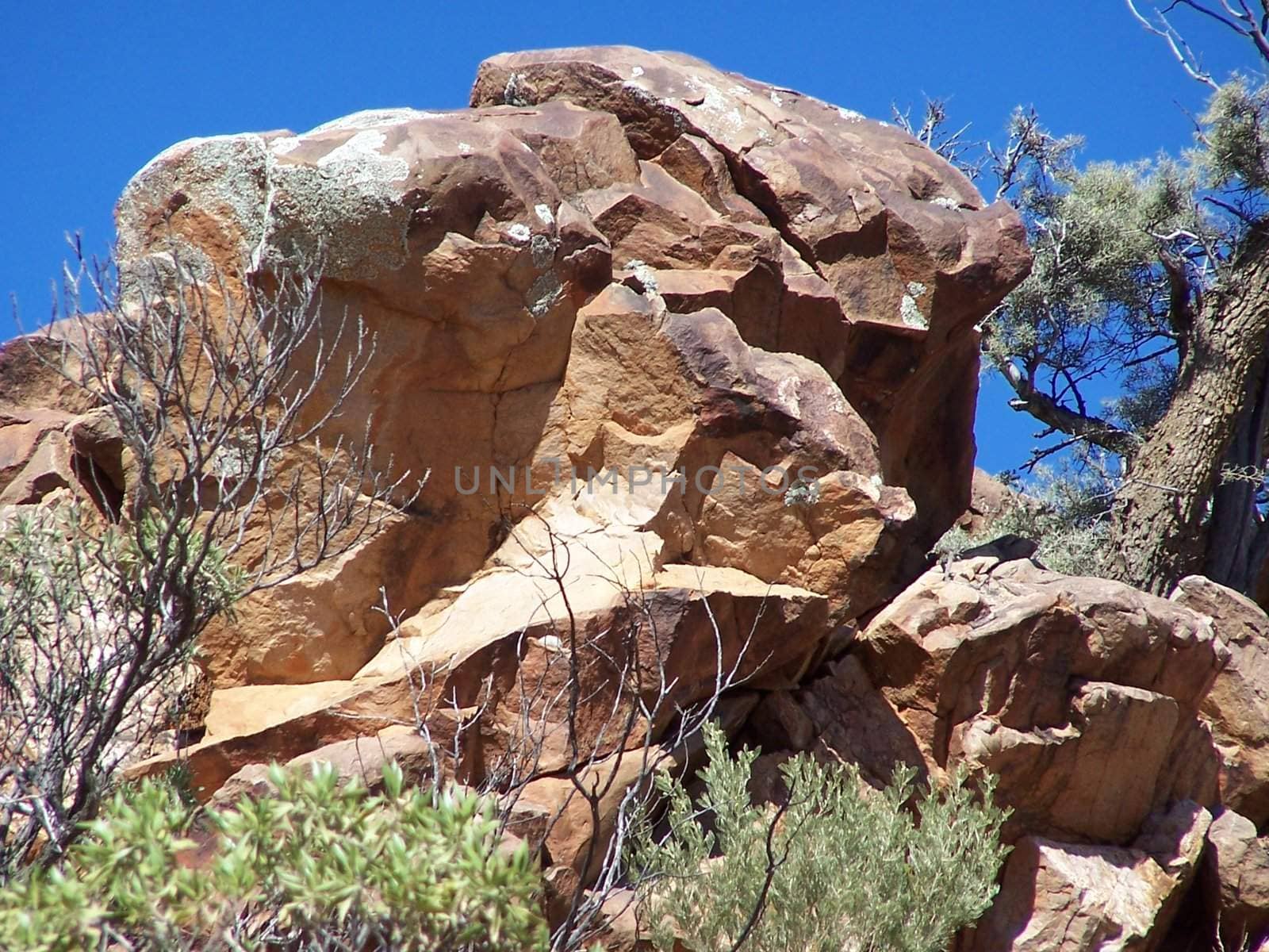 A large rock in the Flinders Ranges