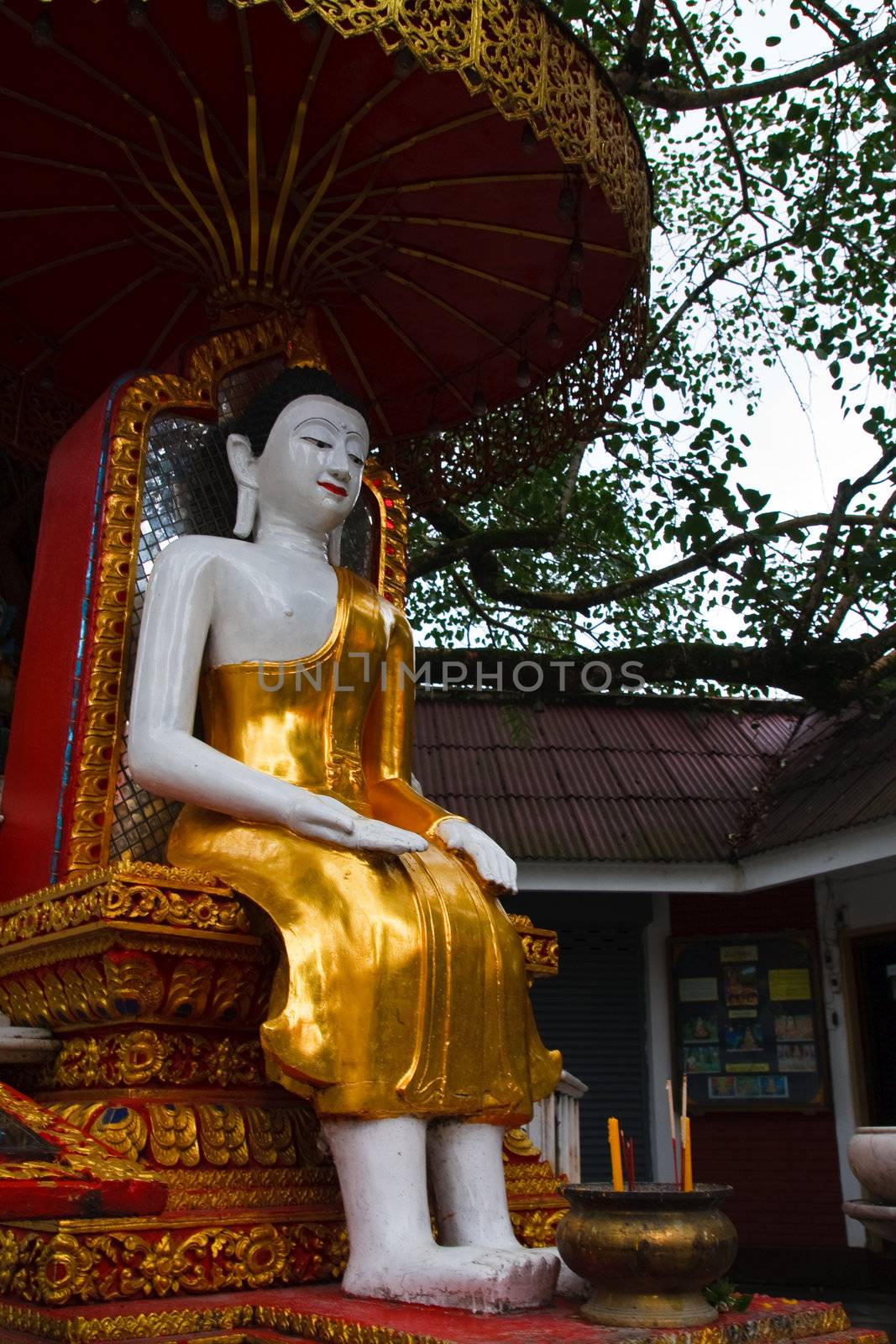 BUddha image under Phrasrimahabhodi tree in Wat Doi Suthep, Chiang Mai