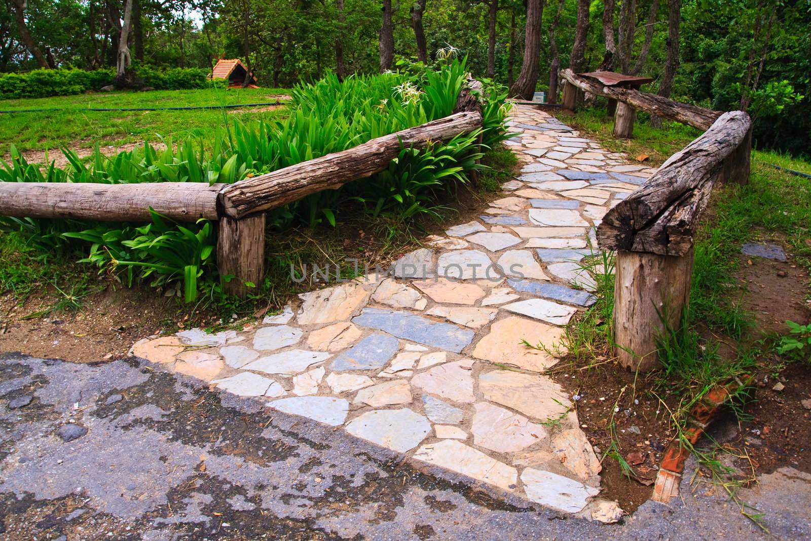 Stone walkway to forest