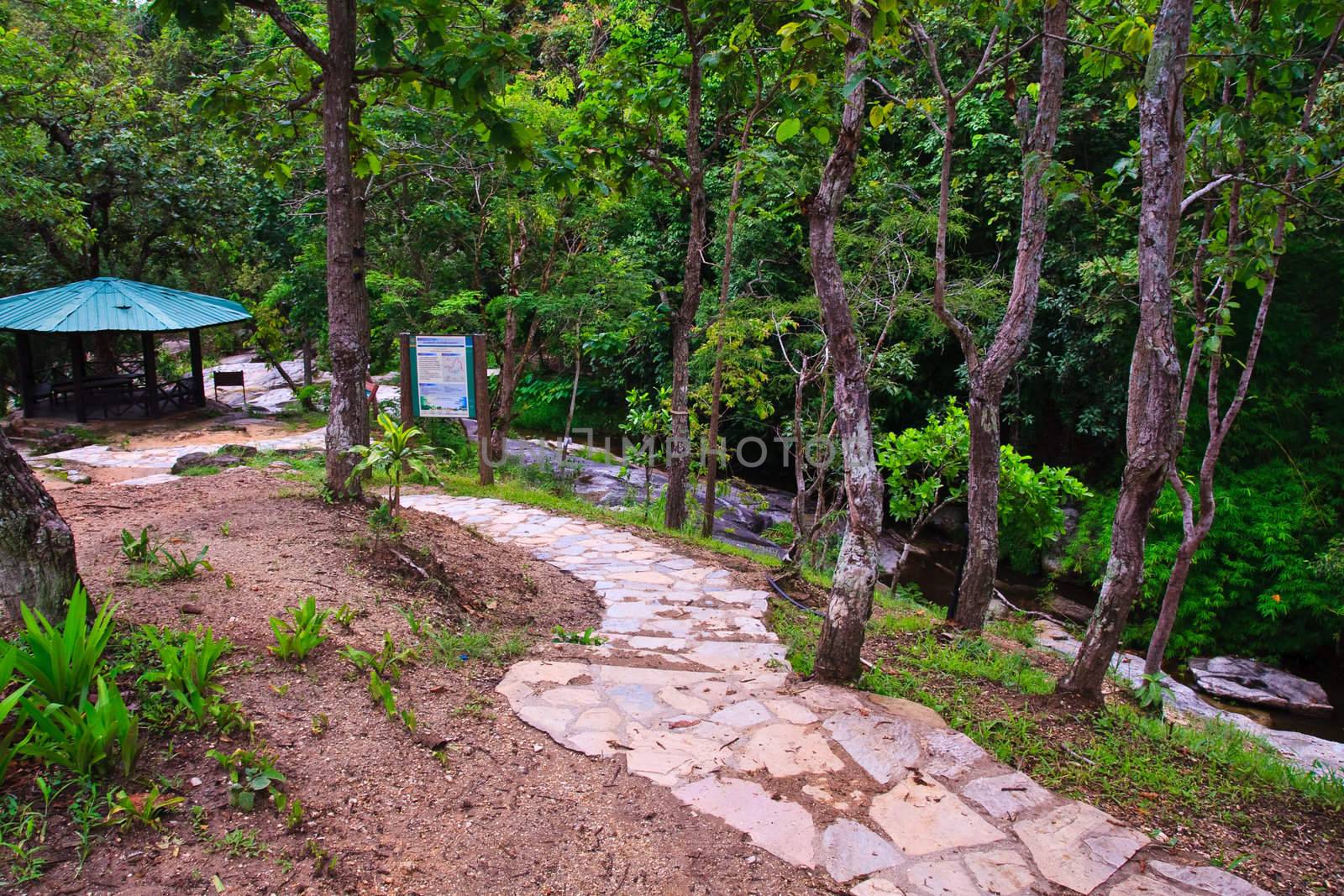 Stone walkway in forest