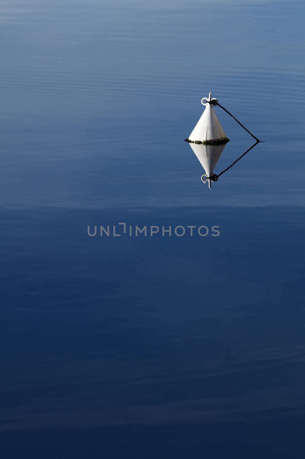 Detail of a white buoy in a calm sea