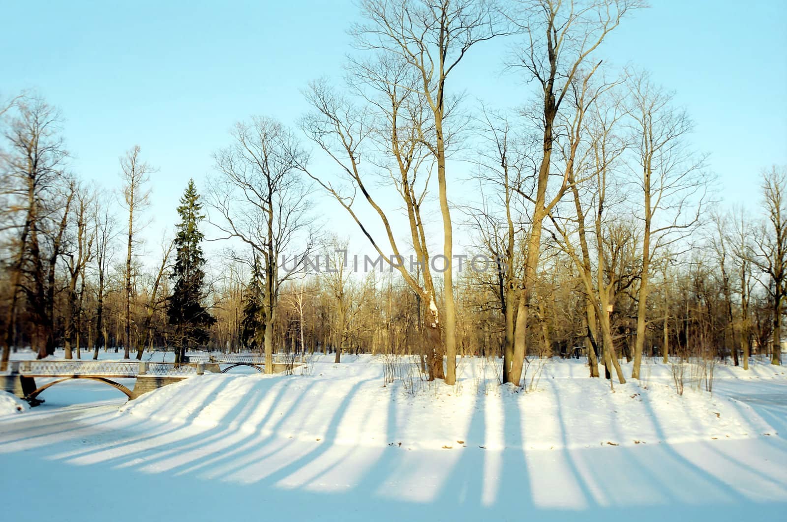 Short sunny winter day in the park