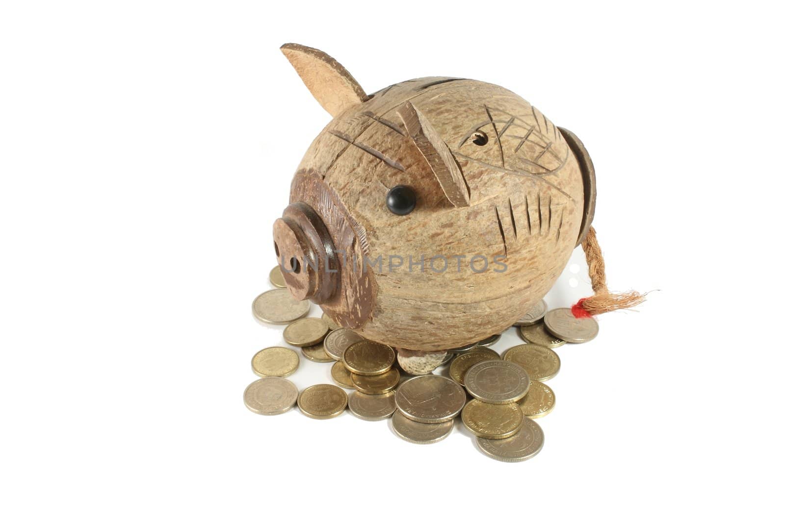 Pig money box and coins  by Jova