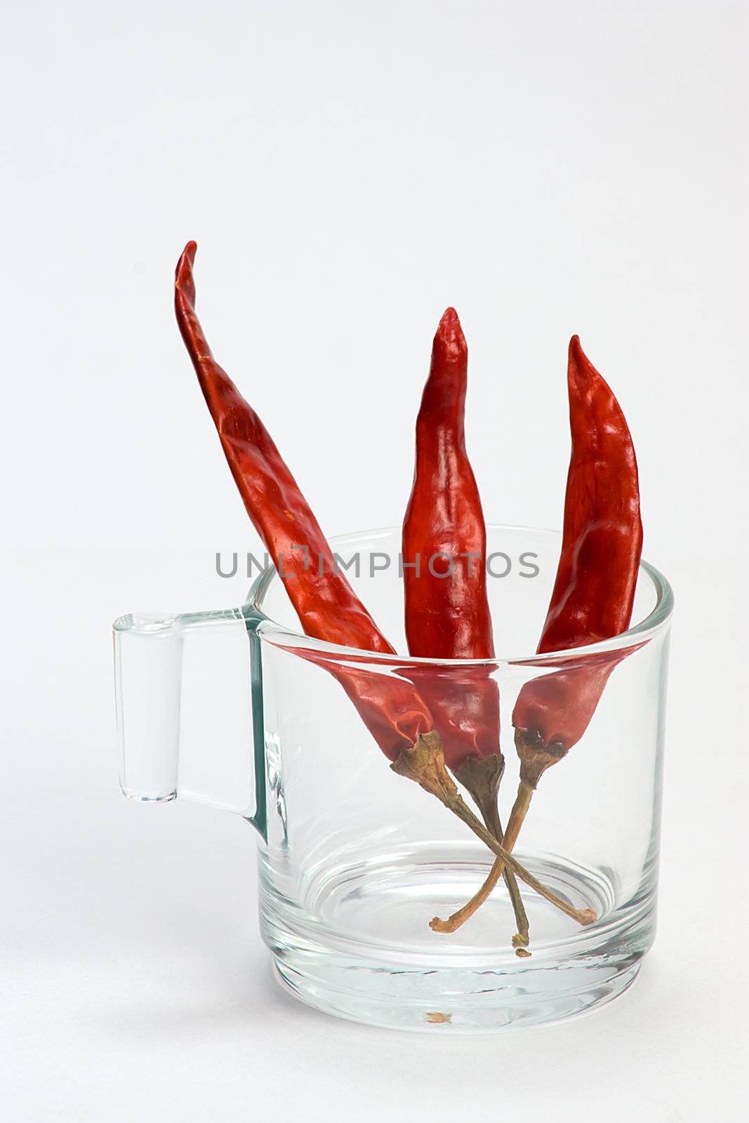 Macro shot of red hot chili peppers with white cup 