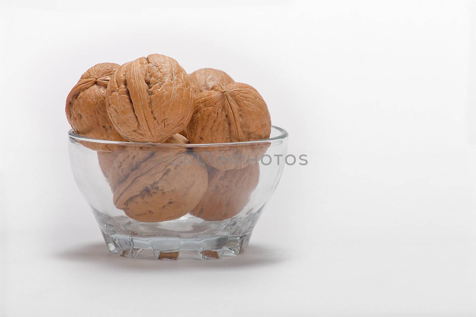 dry walnut fruit studio isolated close-up
