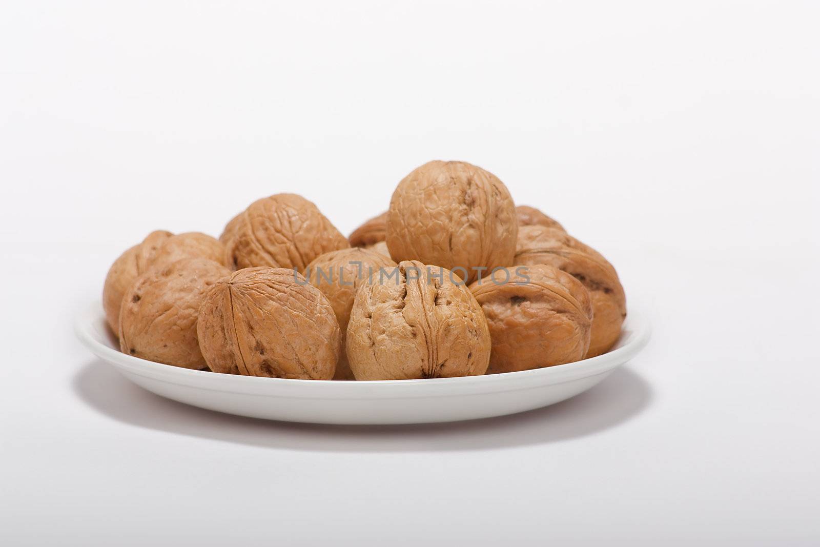 dry walnut fruit studio isolated close-up