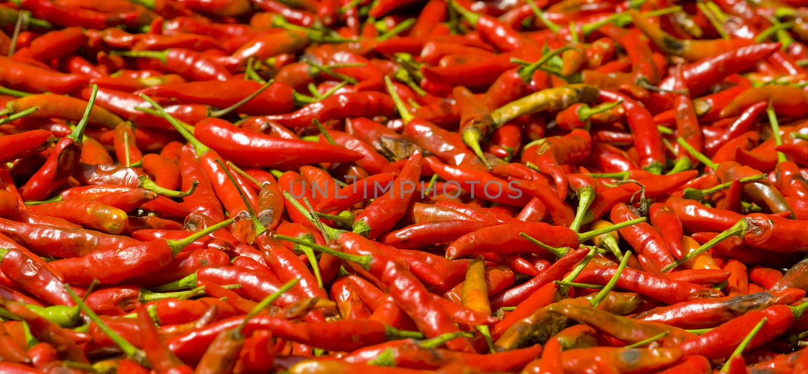 chili for sale with a shallow depth of field