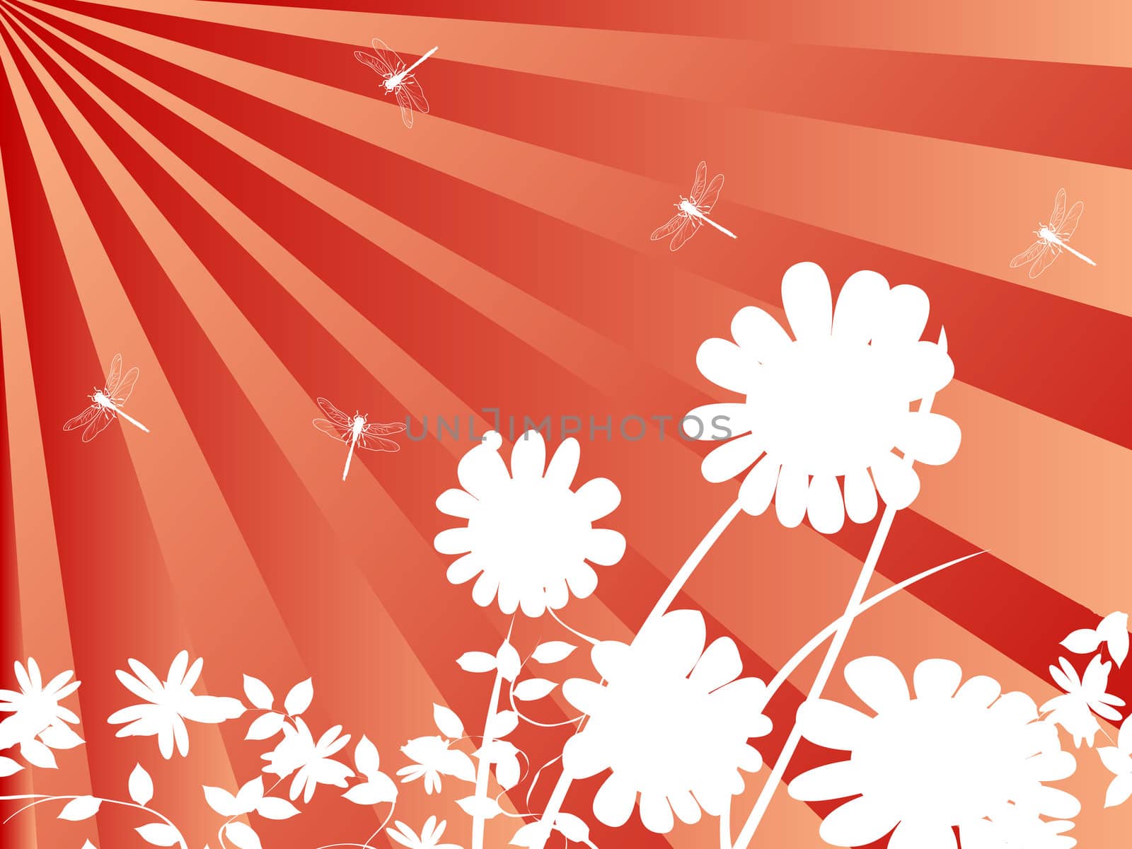 Background for summer with flowers and dragonflies