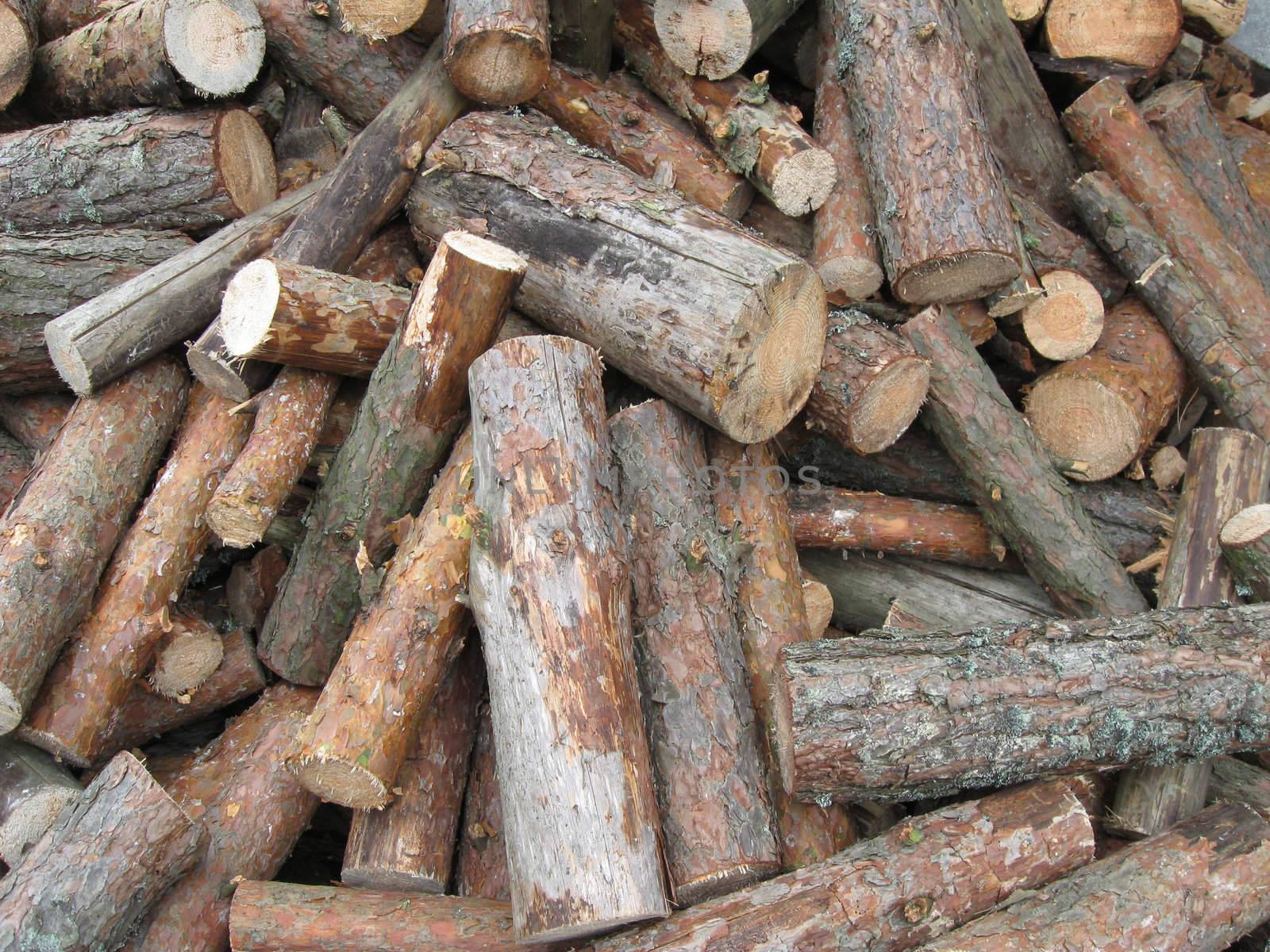 Fire wood by dmitrubars