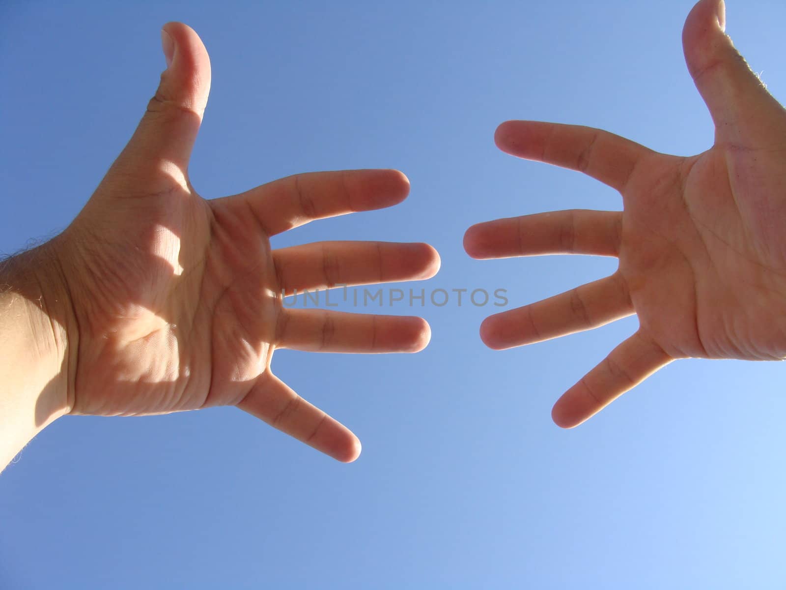 Two hands against the blue sky