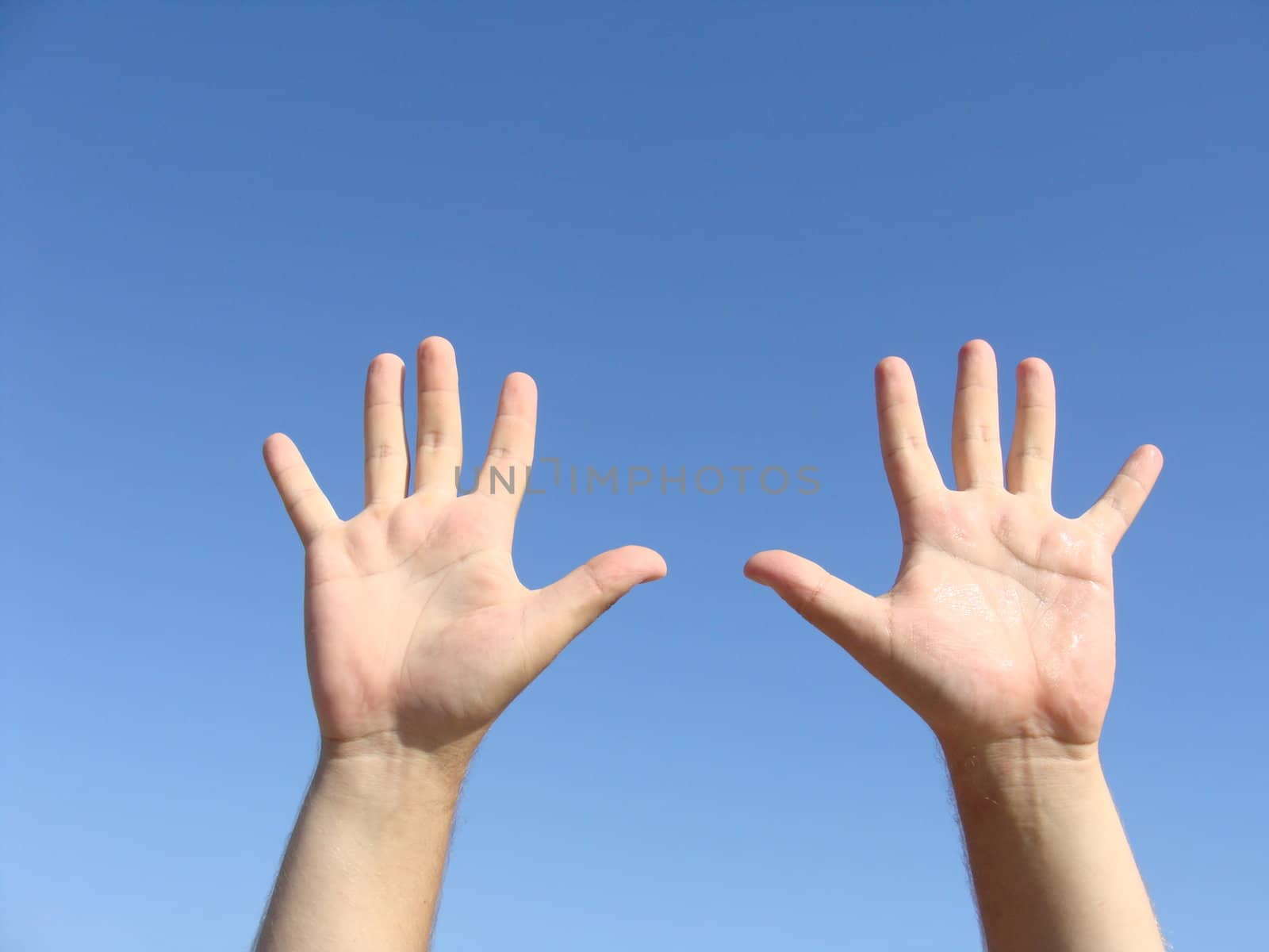 Two hands against the blue sky