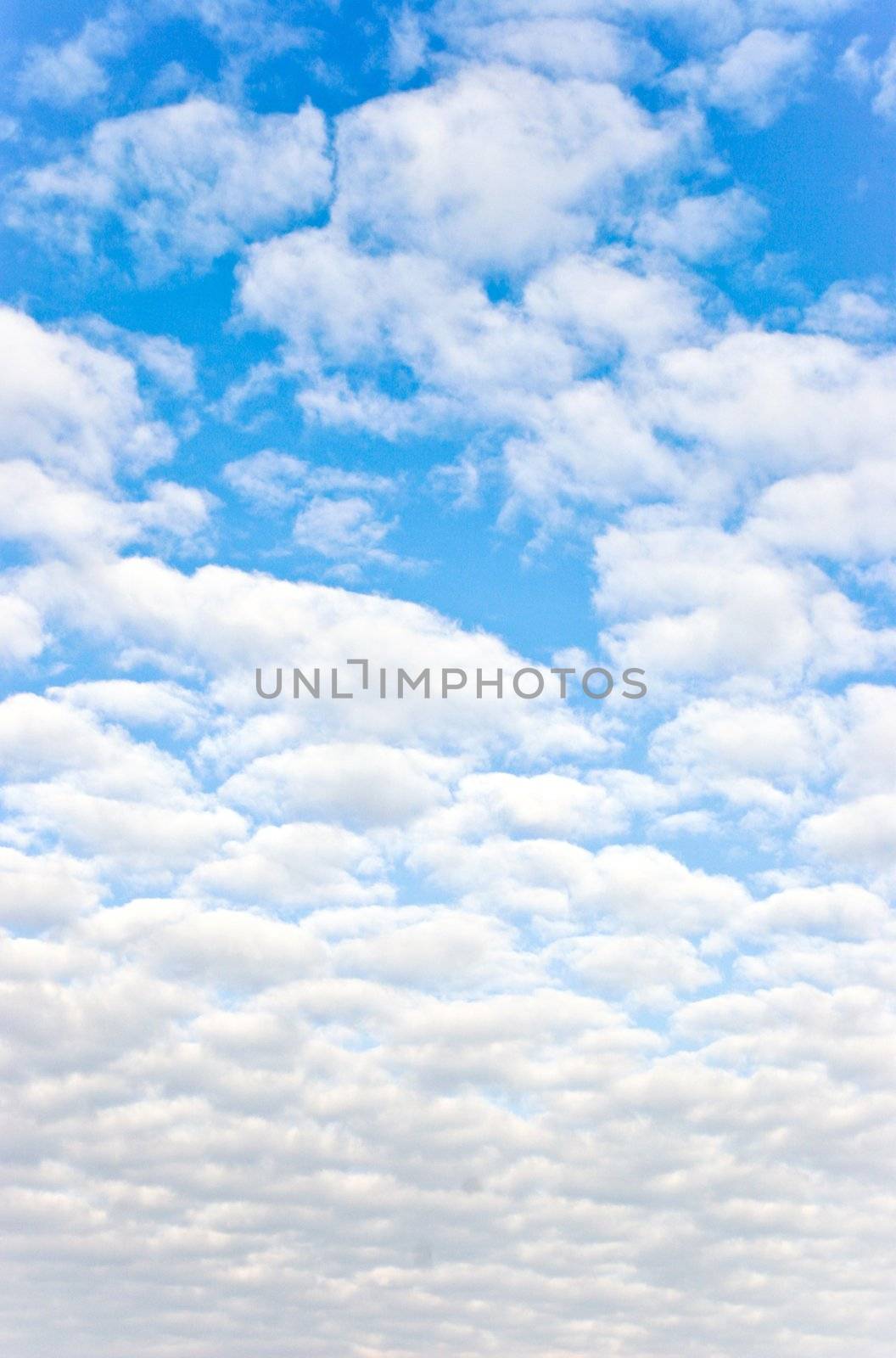 Bright Blue Sunny Sky