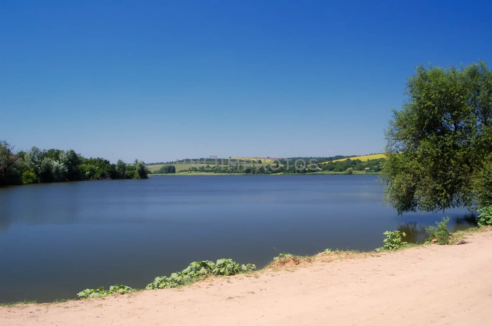 quiet lake in a canicular day