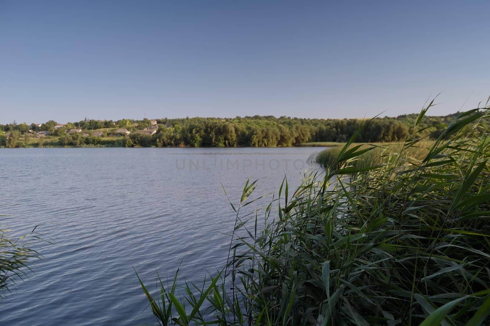 quiet lake in a canicular day