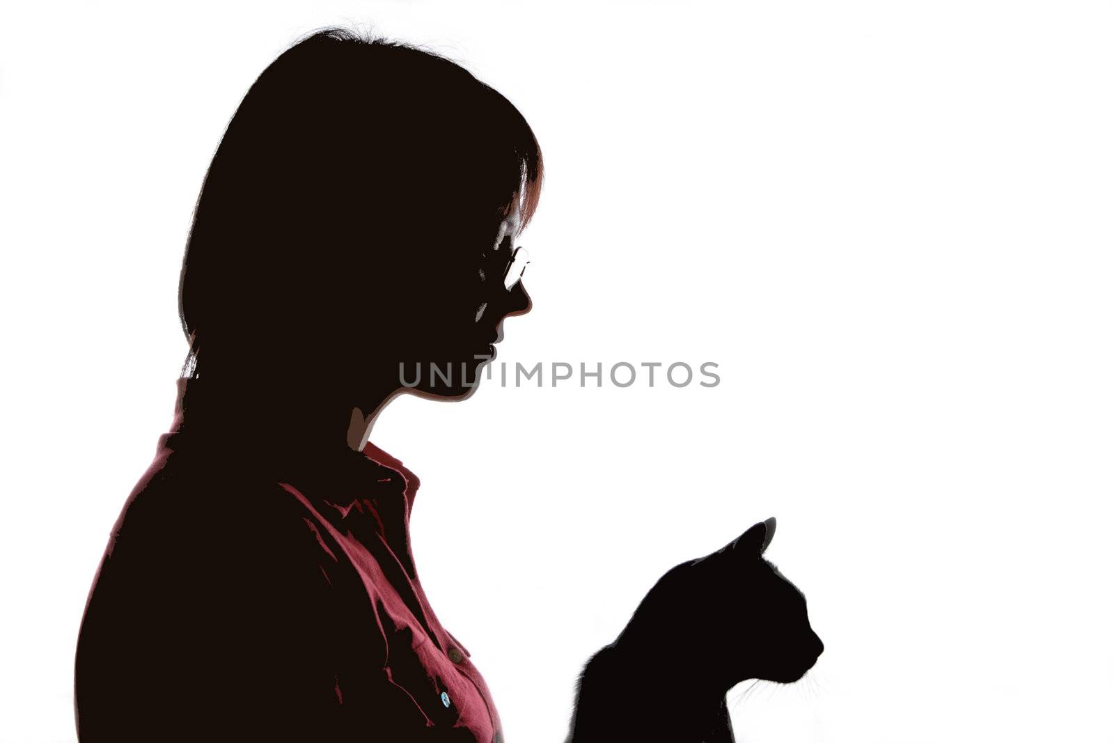 Woman with Cat, Silhouette, Person, Animal, Friendship, Charge