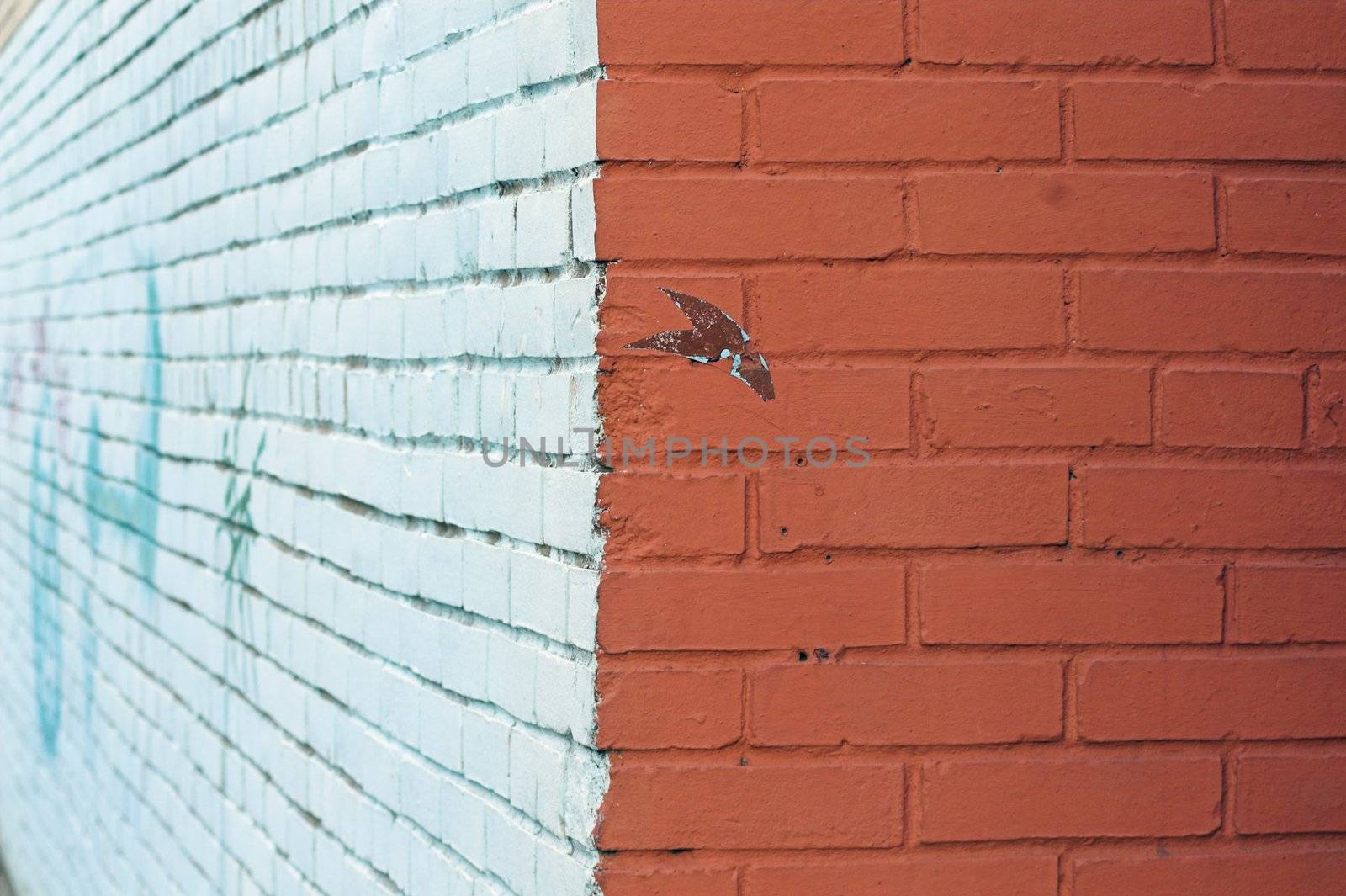 Close-up view of corner and painted wall with graffiti