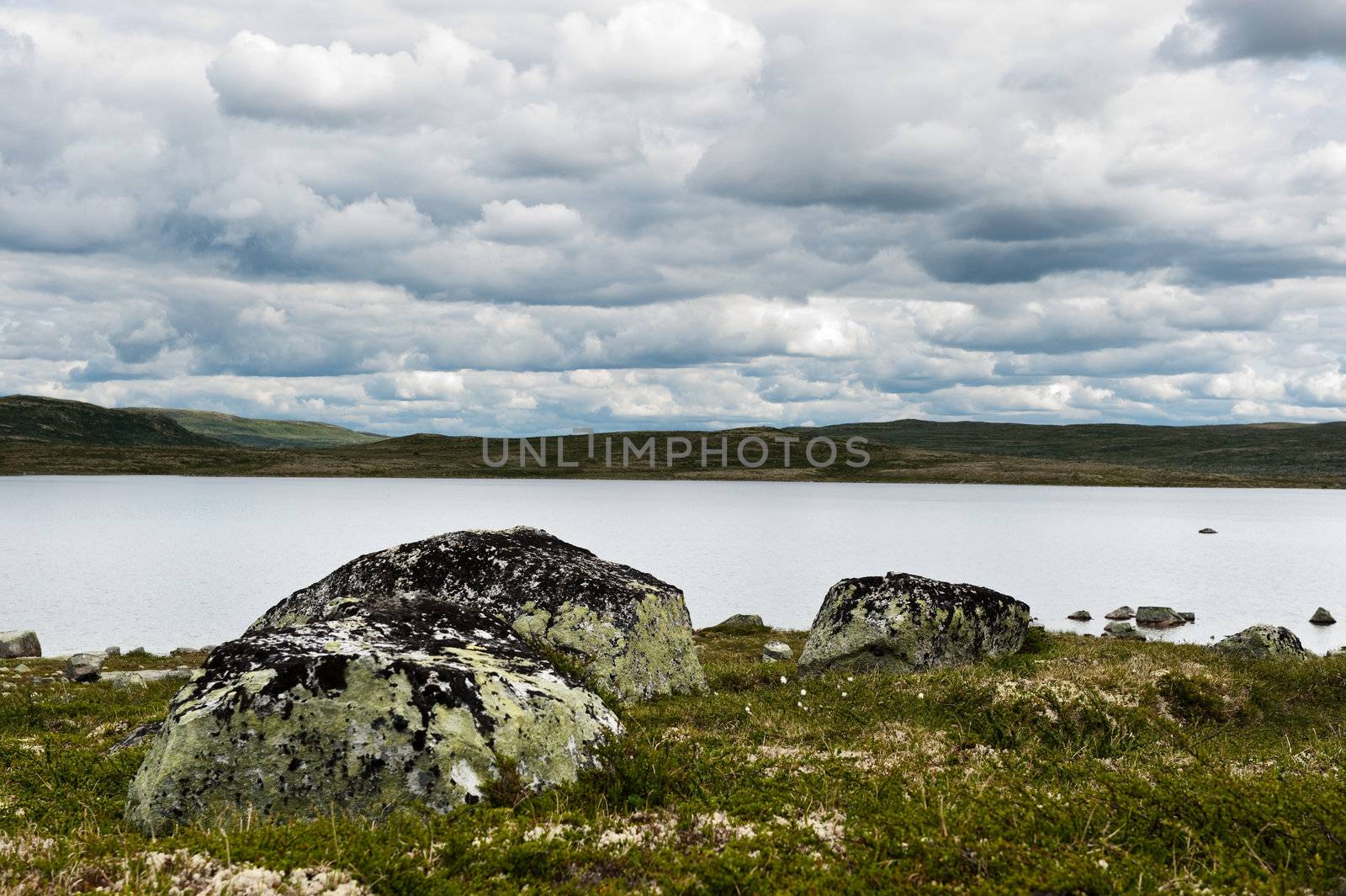 Rural nature in the mountain passage between Oslo and Bergen in Norway