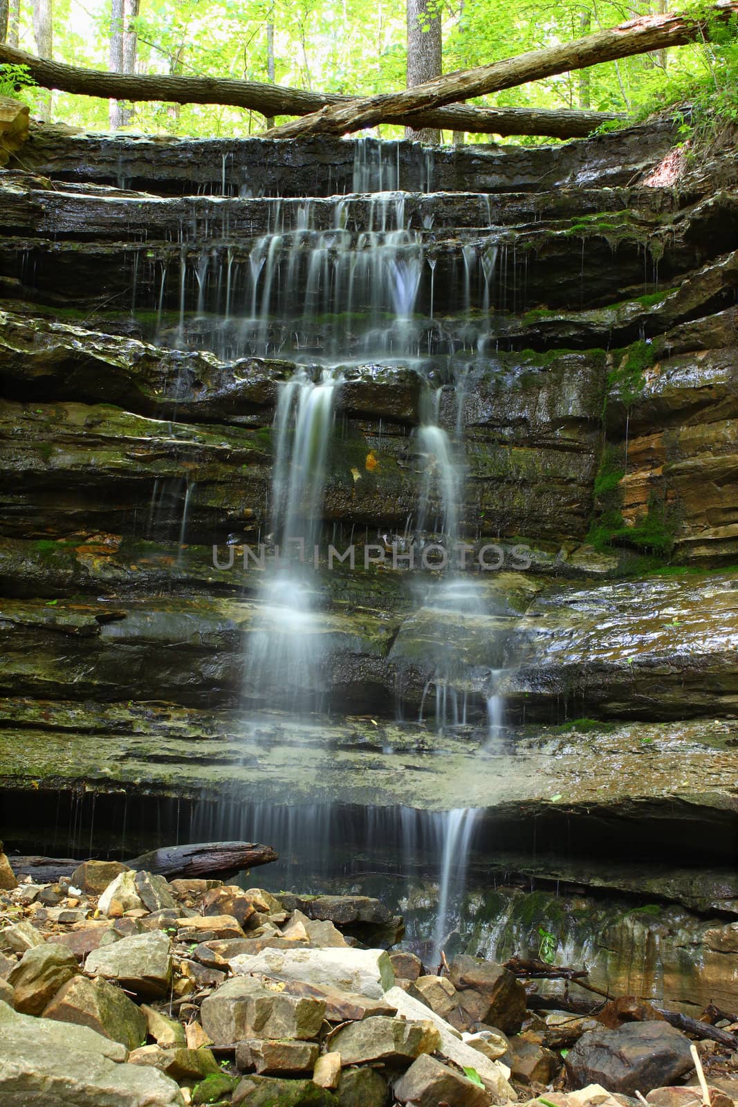 Tranquil waterfall at Monte Sano State Park in northern Alabama.