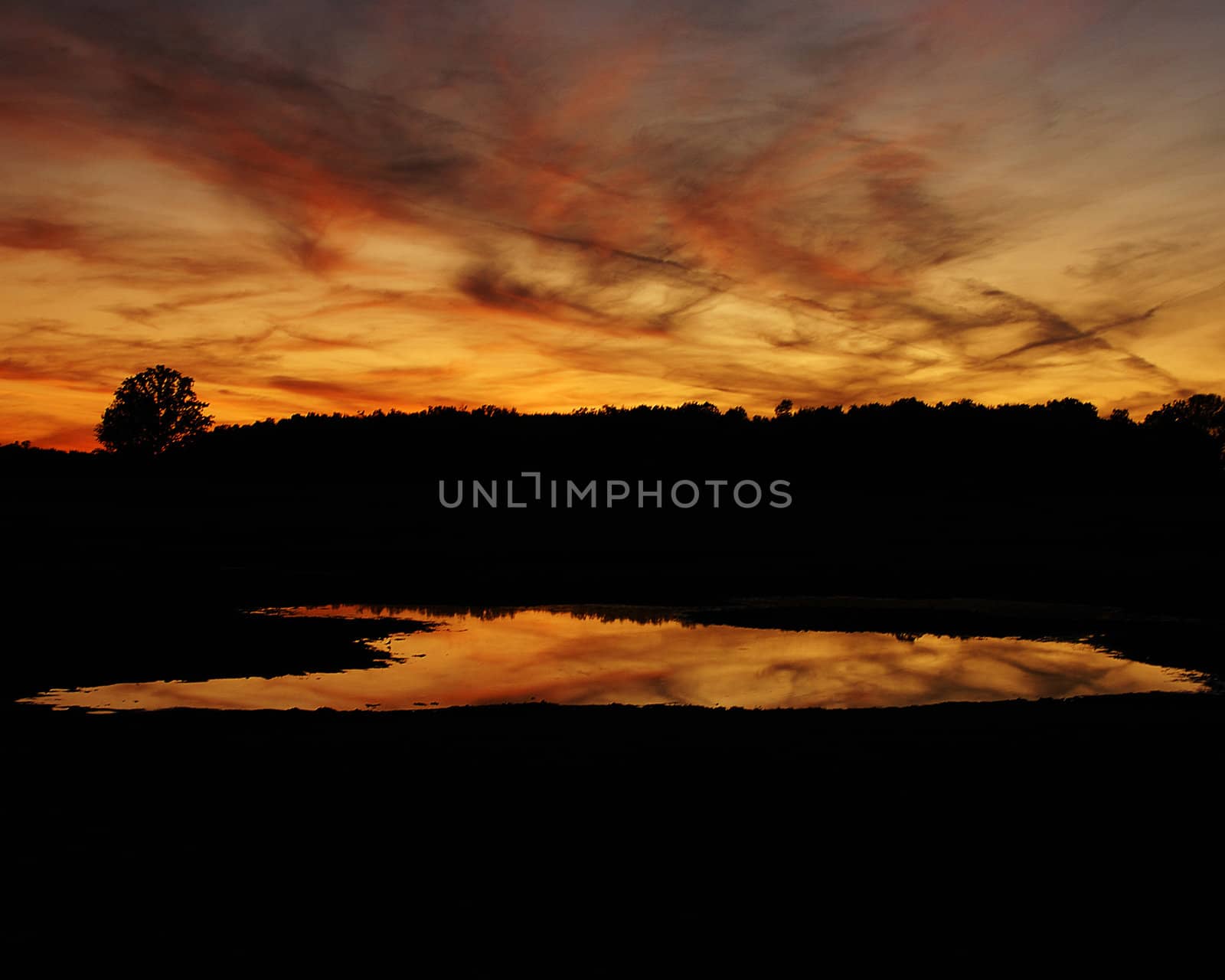 Sunset over a flooded field near Clare, Michigan.