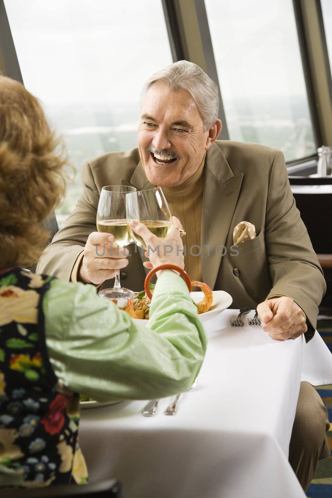 Mature couple dining and toasting in fancy restaurant by window with rooftop view of urban landscape.