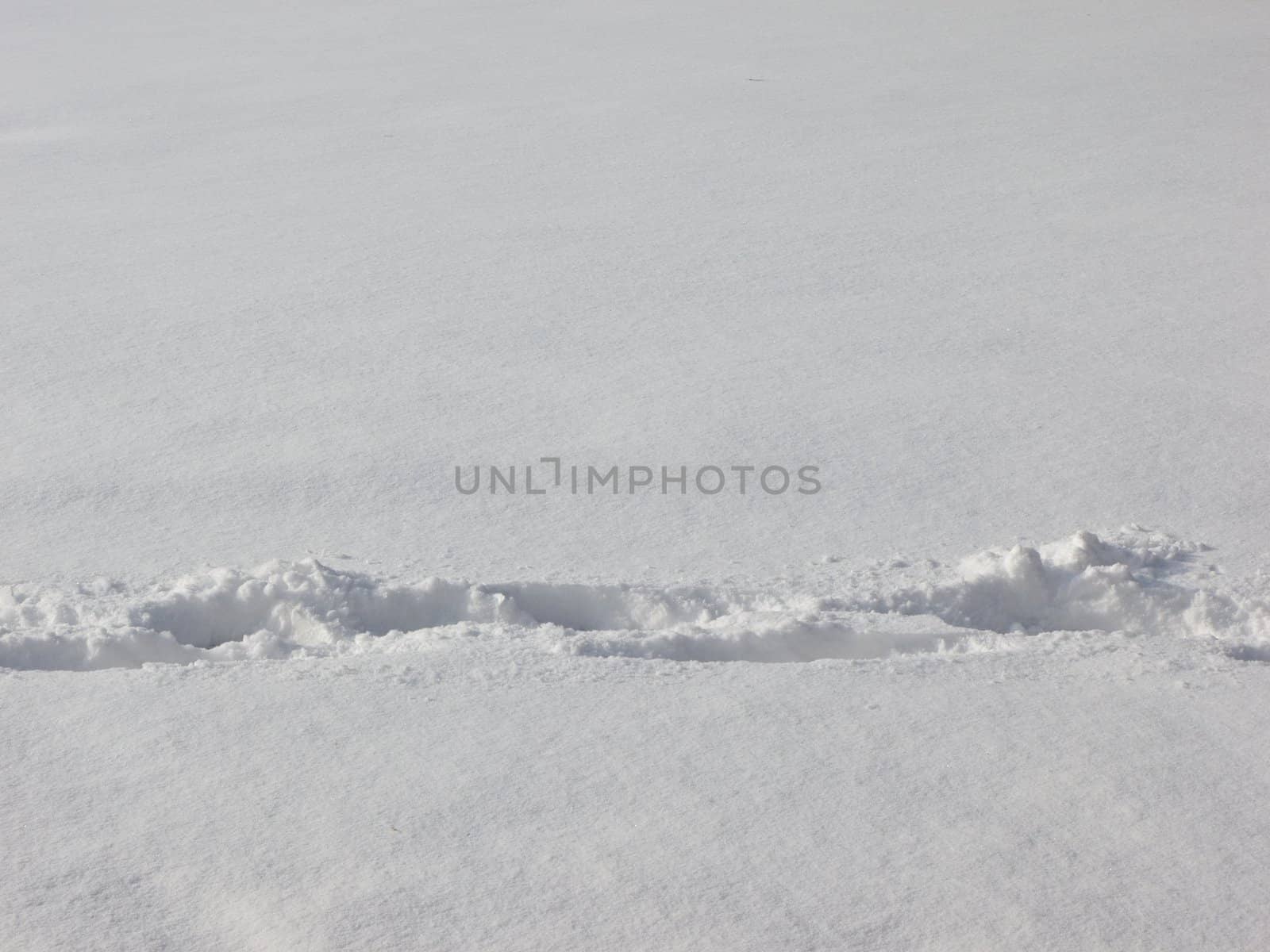 Foot tracks through fresh snow