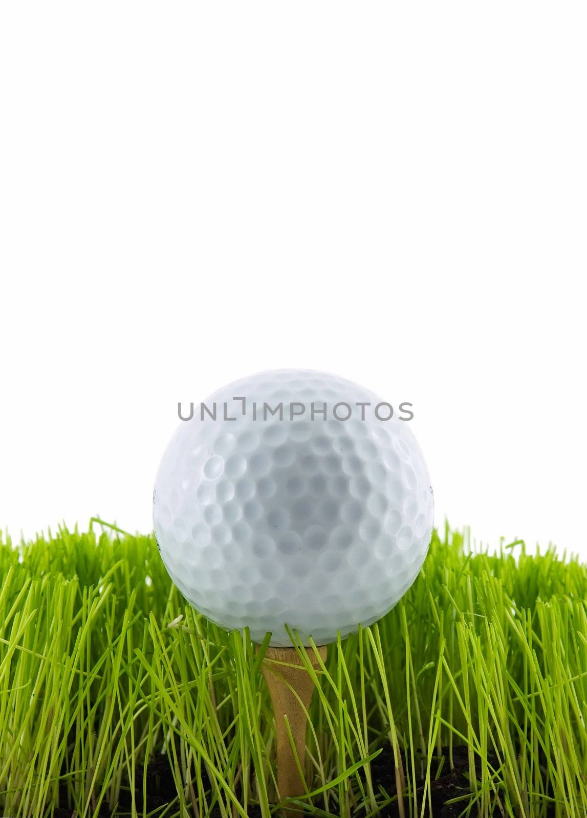 Golf ball on a tee in short grass