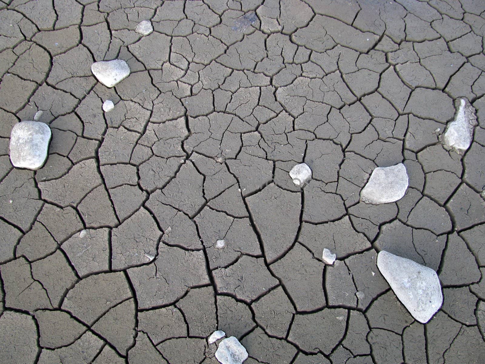 Background, the earth, soil, structure, structure, crack, bark, stones, the invoice, the nature, ground, drought, a heat, a relief, a kind, grey, dry