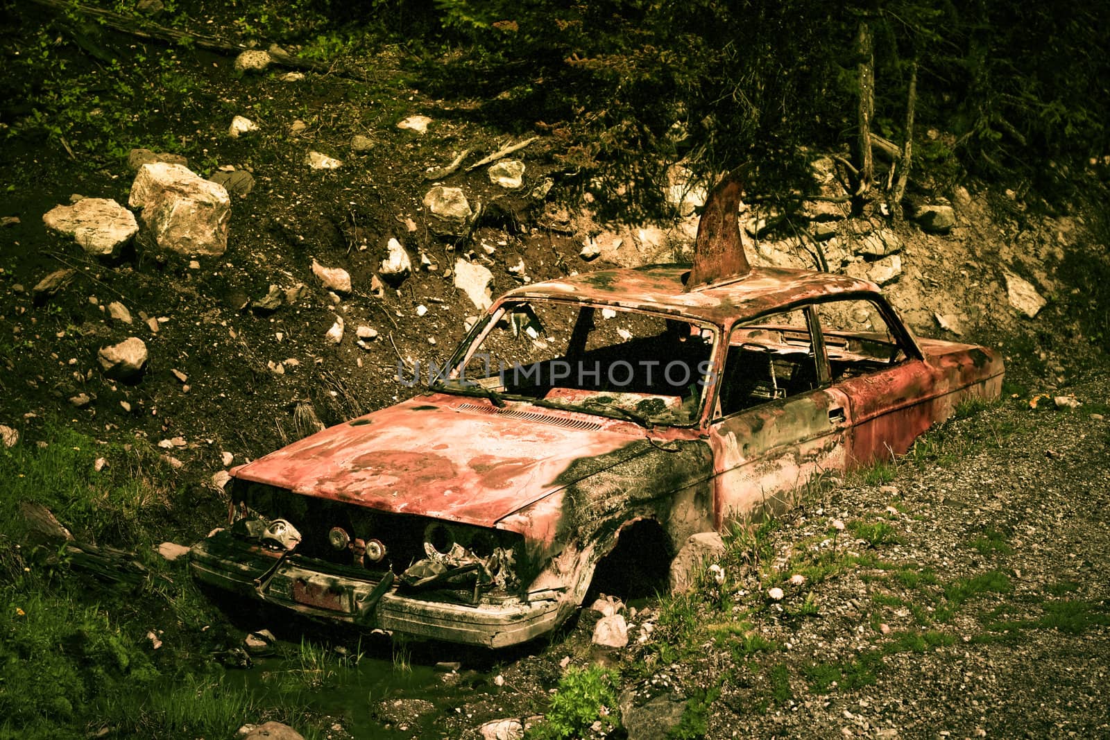 Creative photo of old rusty car in forest after accident
