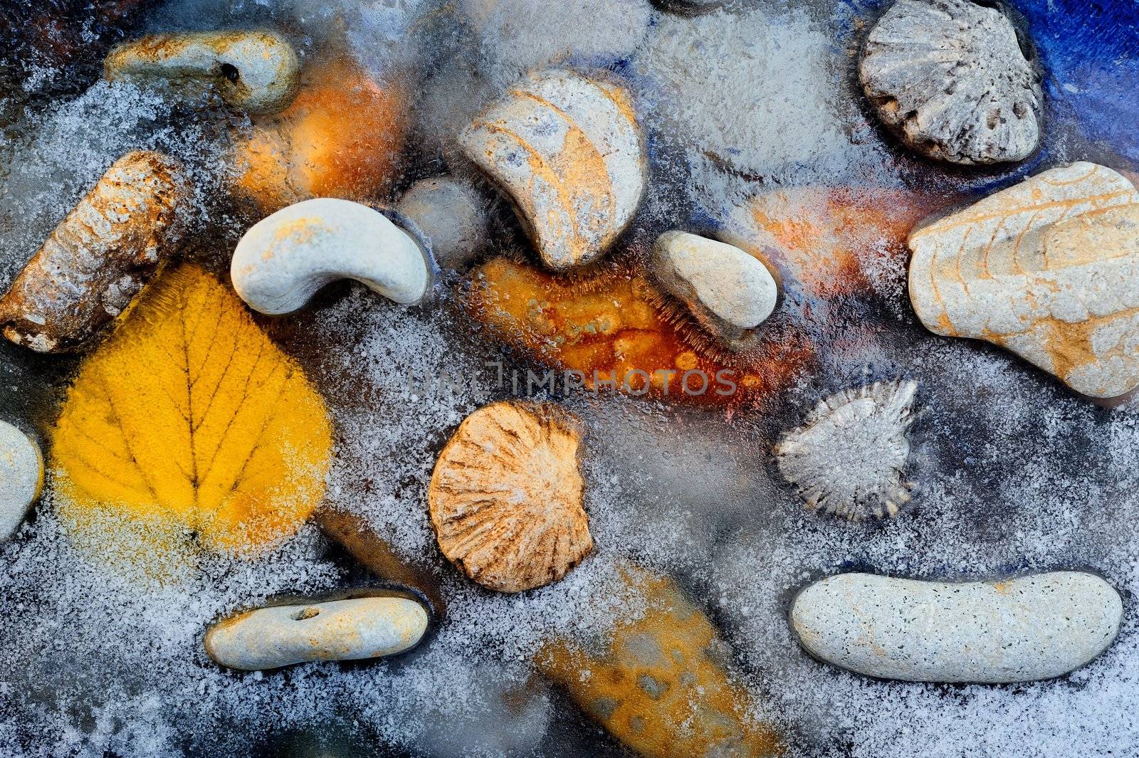 The sea pebble and yellow leaf have frozen on a beach