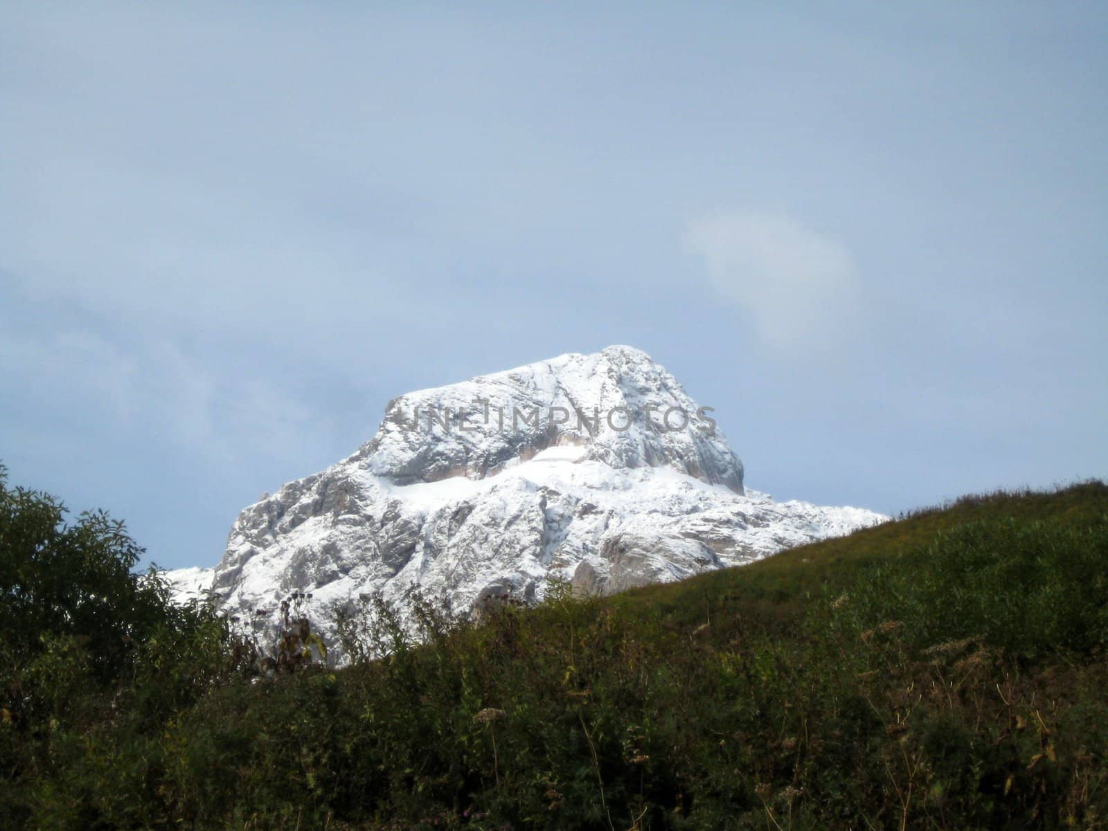 Mountains, caucasus, rocks, a relief, a landscape, wood, the nature, a panorama, a landscape, a ridge, top, breed, the sky, reserve, a pattern, a background, a kind, a structure, trees, a slope, peak, beauty, bright, a file, clouds, snow, a glacier, greens, autumn