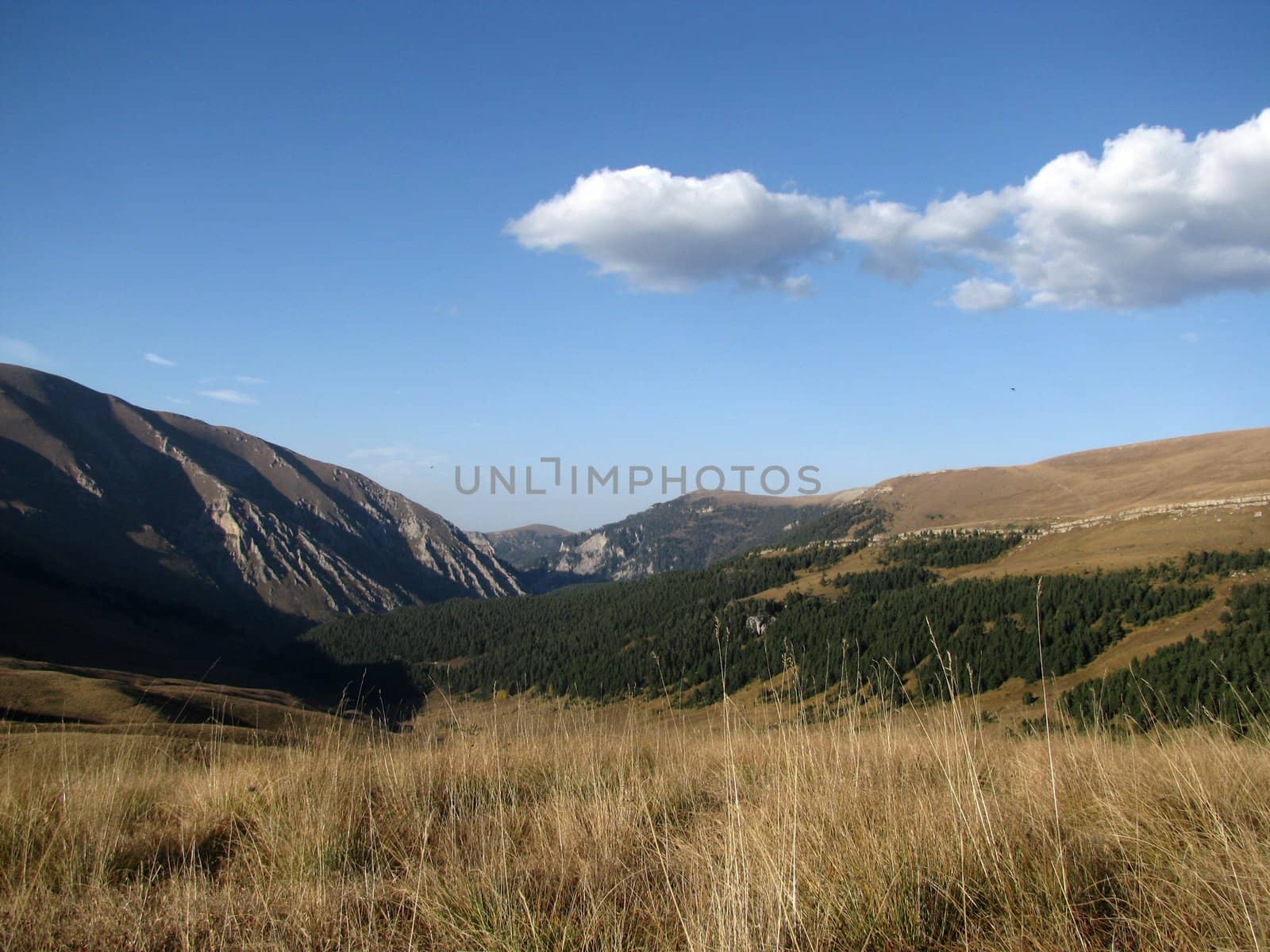 Mountains, caucasus, rocks, a relief, a landscape, wood, the nature, a panorama, a landscape, a ridge, top, breed, the sky, reserve, a background, a kind, a structure, trees, a slope, a grass, beauty, bright, a file, clouds, pass, gorge, a canyon